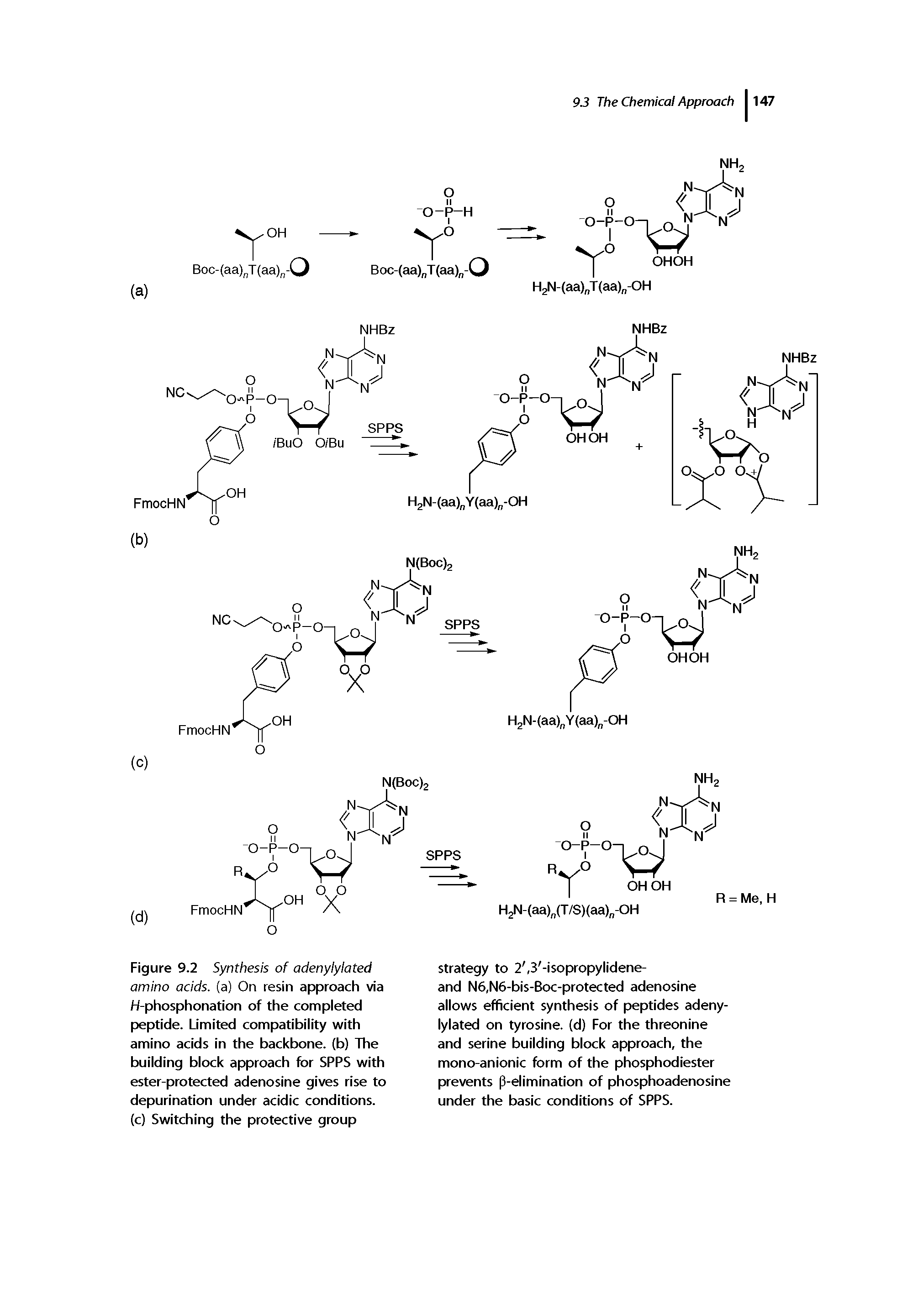 Figure 9.2 Synthesis of adenylylated amino acids, (a) On resin approach via H-phosphonation of the compieted peptide. Limited compatibiiity with amino acids in the backbone, (b) The buiiding biock approach for SPPS with ester-protected adenosine gives rise to depurination under acidic conditions, (c) Switching the protective group...