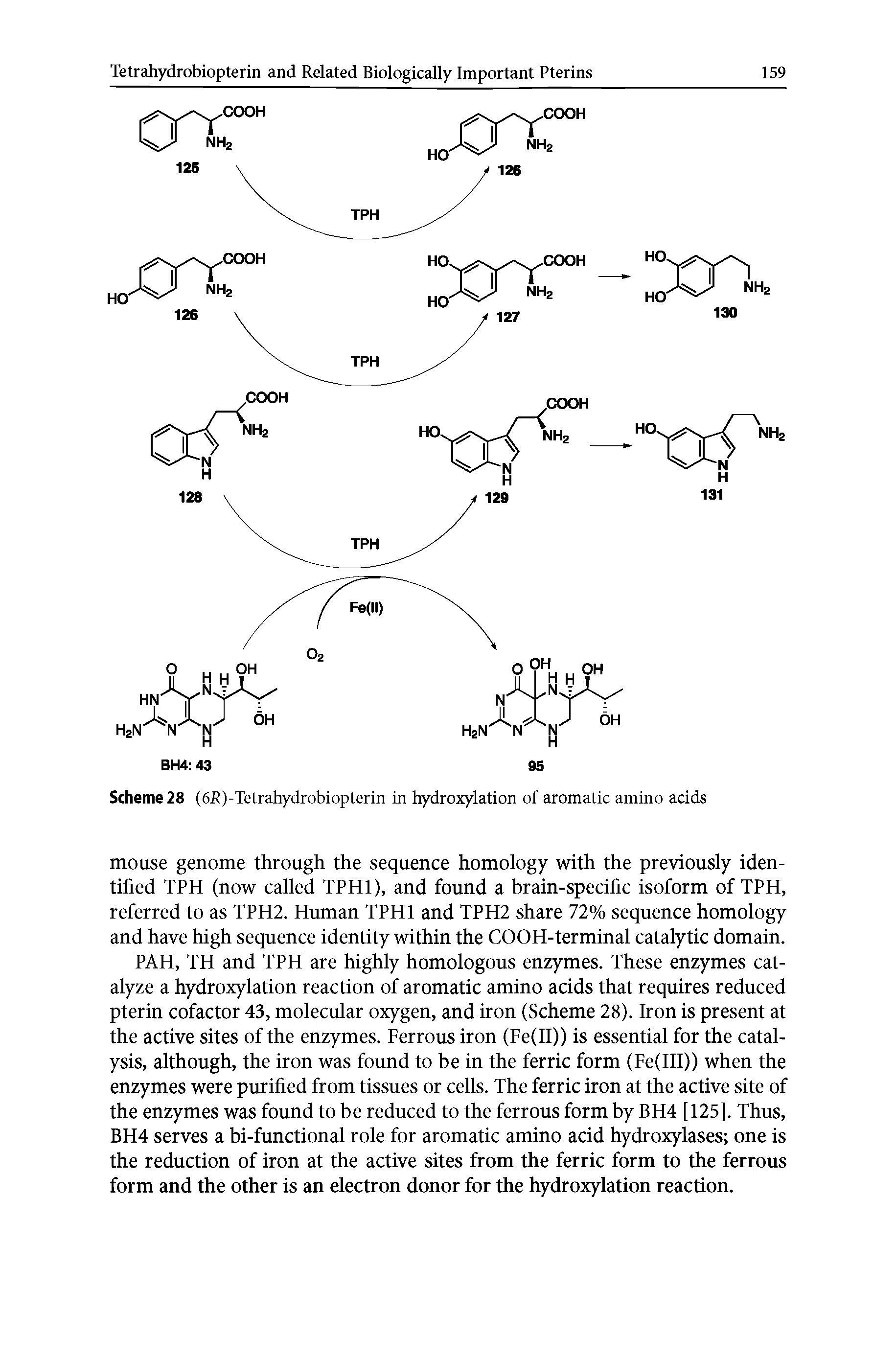 Scheme 28 (6R)-Tetrahydrobiopterin in hydroxylation of aromatic amino acids...