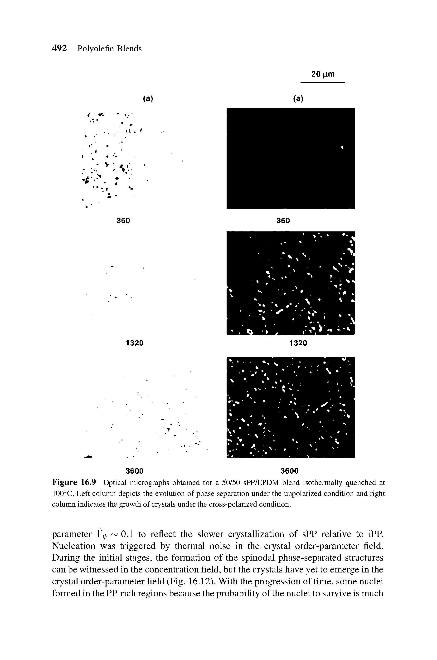 Figure 16.9 Optical micrographs obtained for a 50/50 sPP/EPDM blend isothermally quenched at 100°C. Left column depicts the evolution of phase separation under the unpolarized condition and right column indicates the growth of crystals under the cross-polarized condition.
