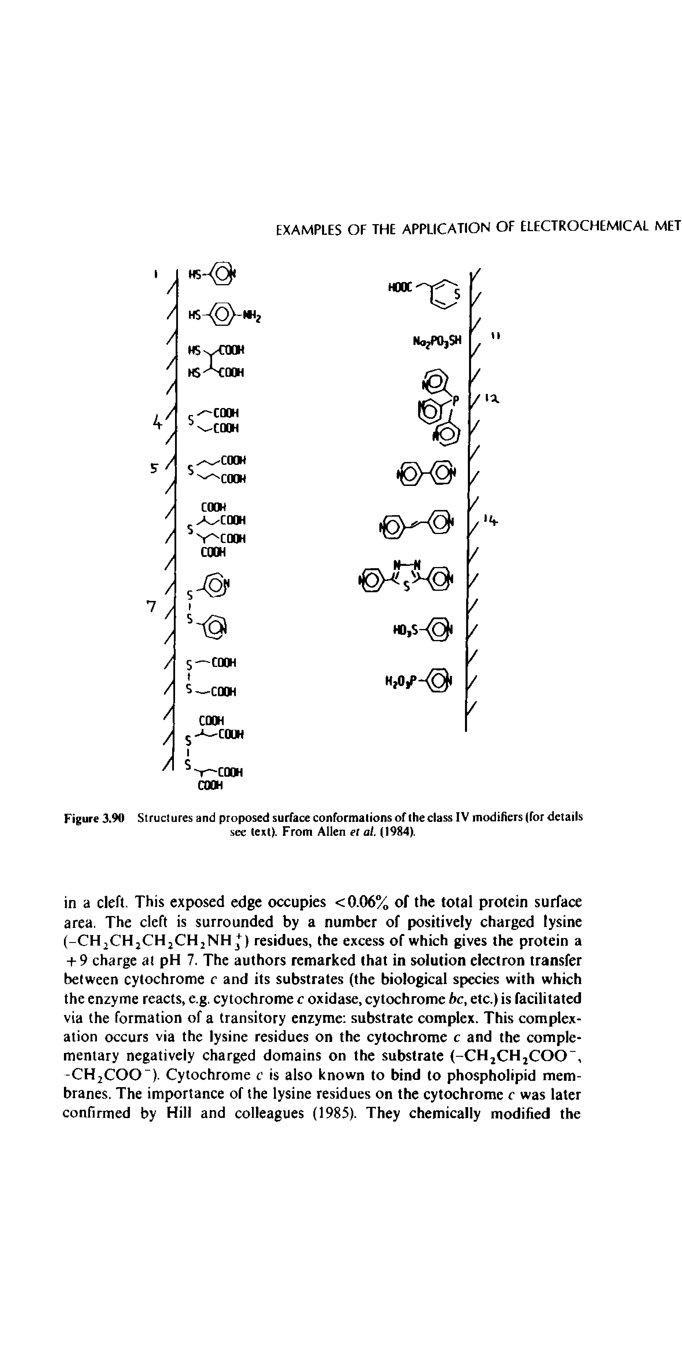 Figure 3.90 Structures and proposed surface conformations of the class IV modifiers (for details see text). From Allen el al. (1984).