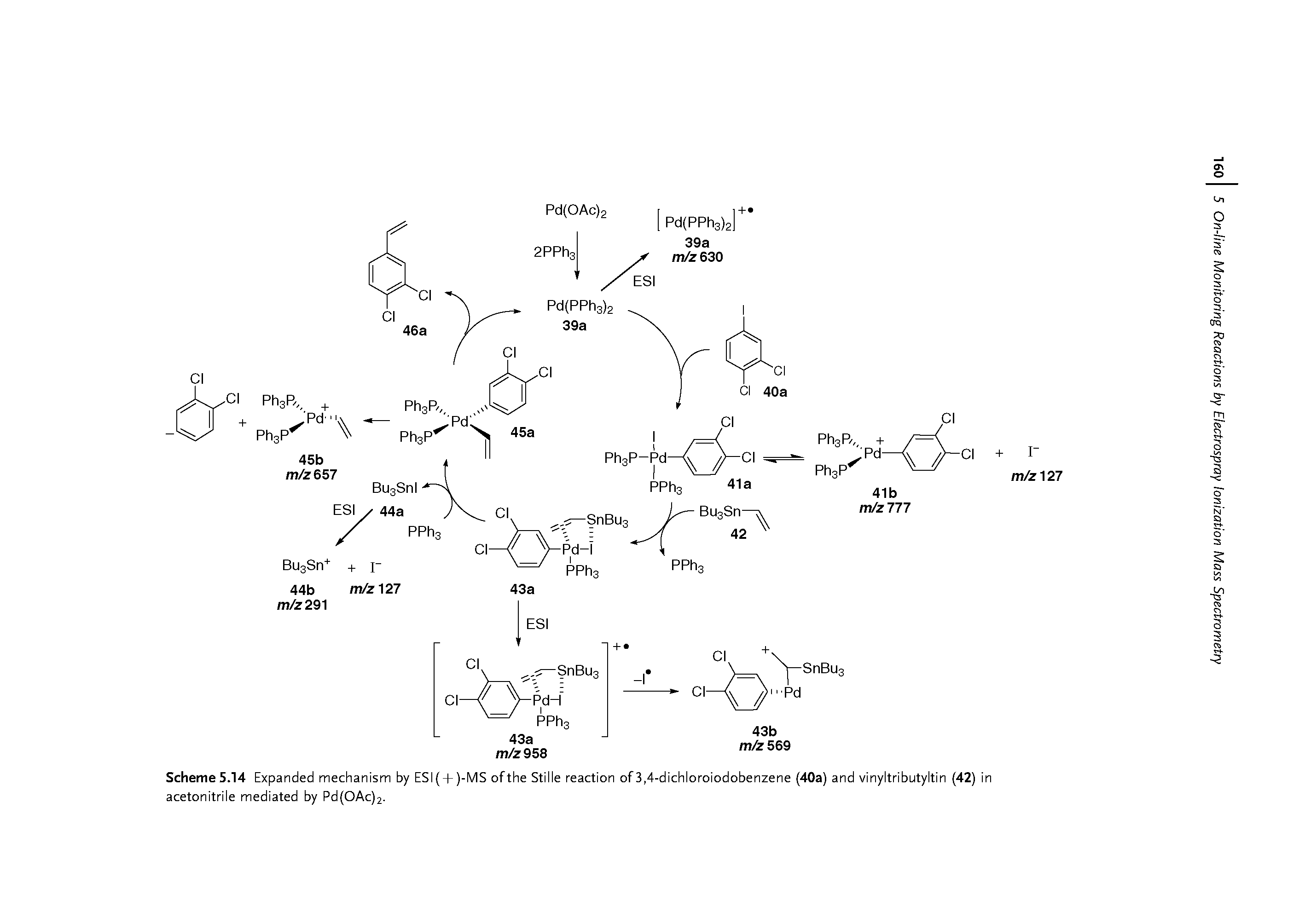 Scheme5.14 Expanded mechanism by ESI( + )-MS ofthe Stille reaction of3,4-dichloroiodobenzene (40a) and vinyltributyltin (42) in acetonitrile mediated by Pd(OAc)2.
