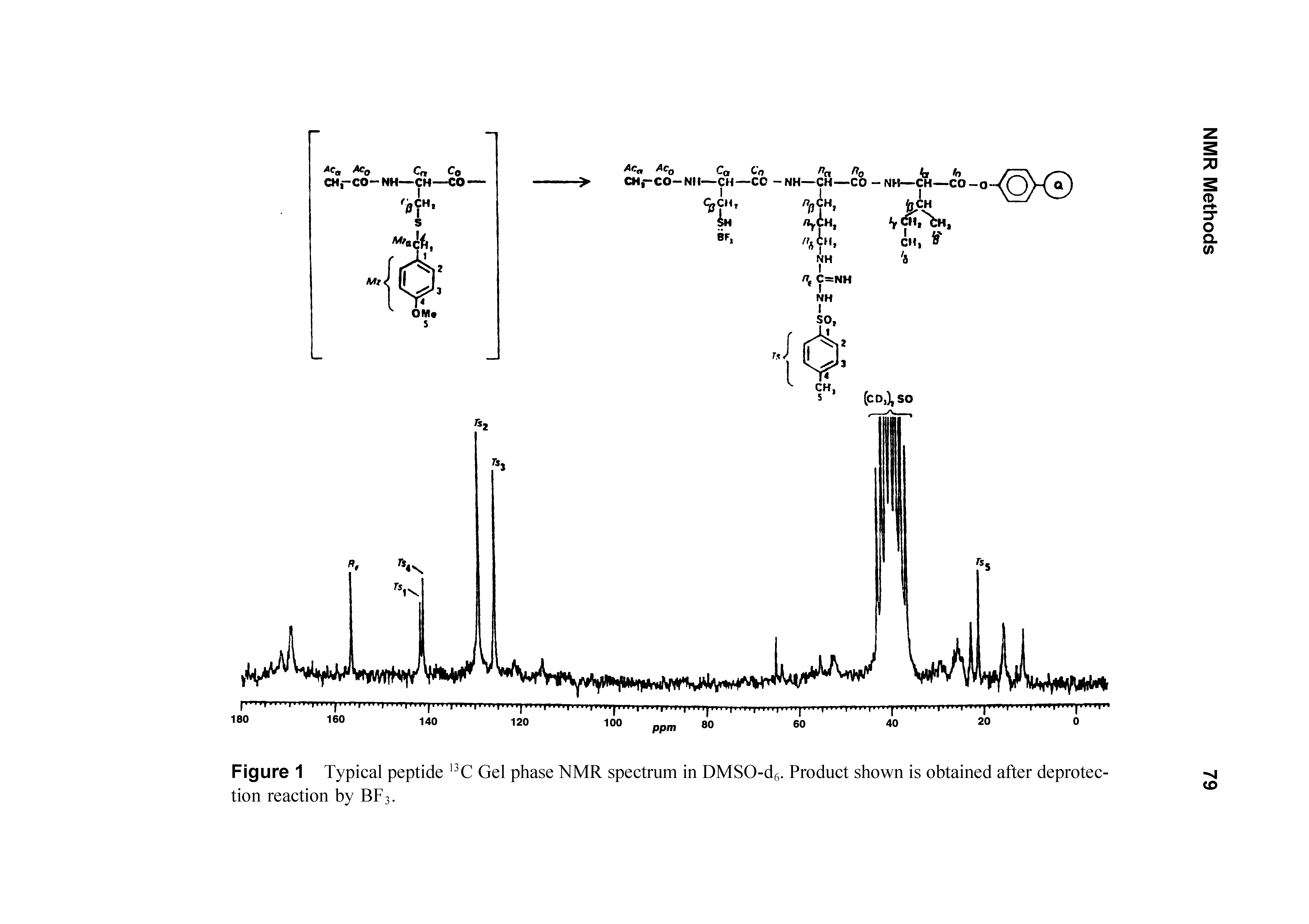 Figure 1 Typical peptide 13C Gel phase NMR spectrum in DMSO-d6. Product shown is obtained after deprotection reaction by BF 3.