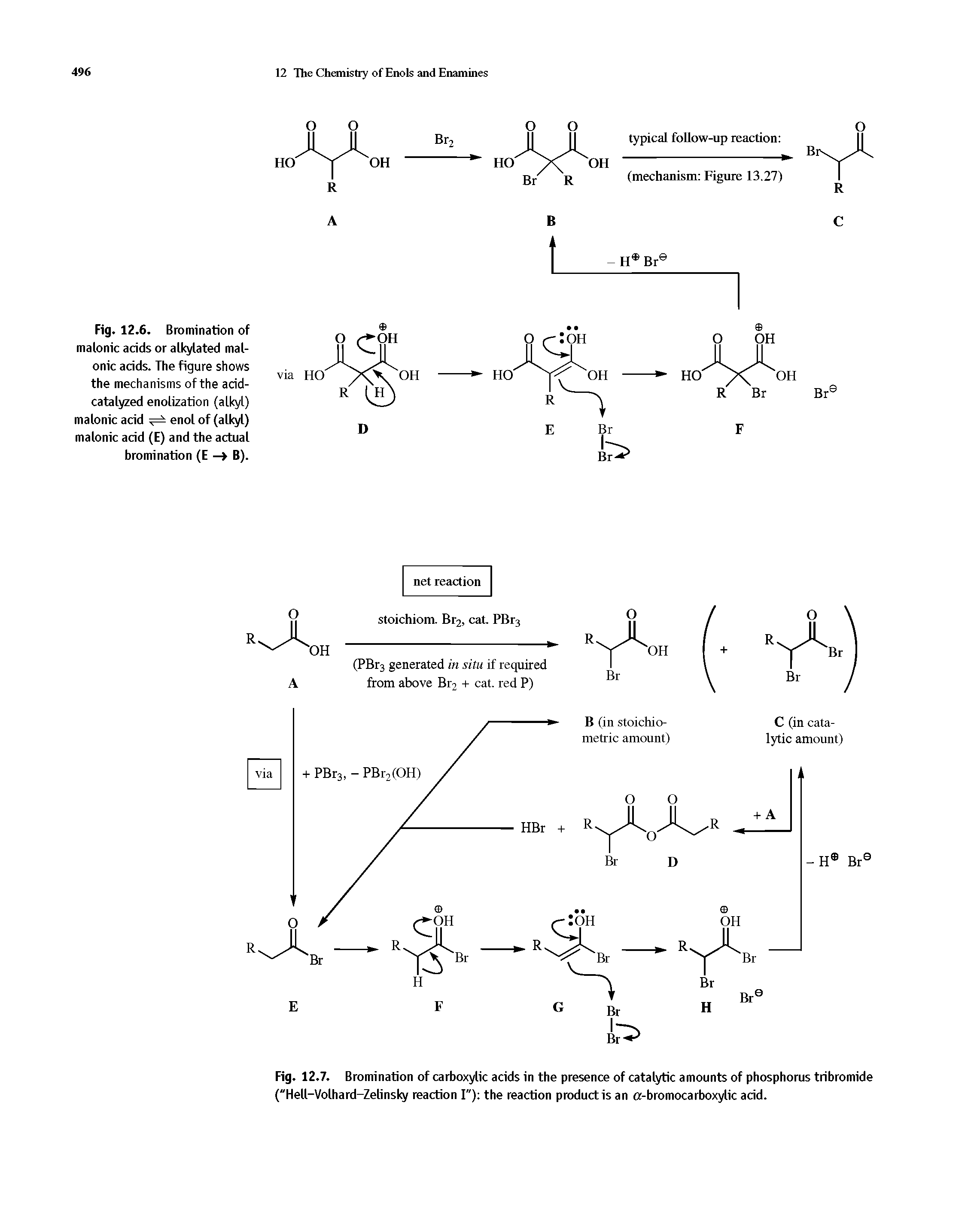 Fig. 12.6. Bromination of malonic acids or alkylated mal-onic acids. The figure shows the mechanisms of the acid-catalyzed enolization (alkyl) malonic acid enol of (alkyl) malonic acid (E) and the actual bromination (E —> B).