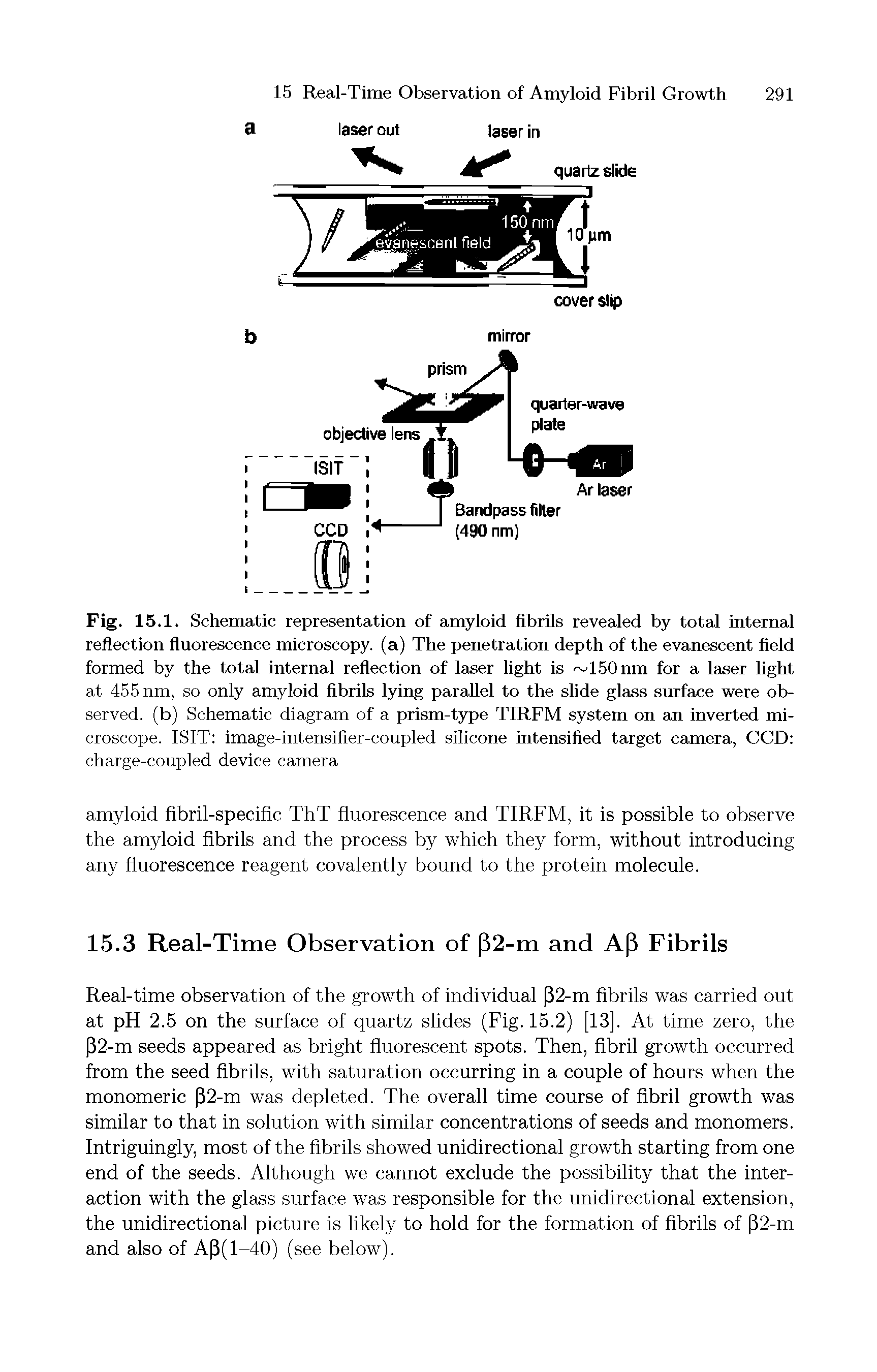 Fig. 15.1. Schematic representation of amyloid fibrils revealed by total internal reflection fluorescence microscopy, (a) The penetration depth of the evanescent field formed by the total internal reflection of laser light is 150nm for a laser light at 455 nm, so only amyloid fibrils lying parallel to the slide glass surface were observed. (b) Schematic diagram of a prism-type TIRFM system on an inverted microscope. ISIT image-intensifier-coupled silicone intensified target camera, CCD charge-coupled device camera...