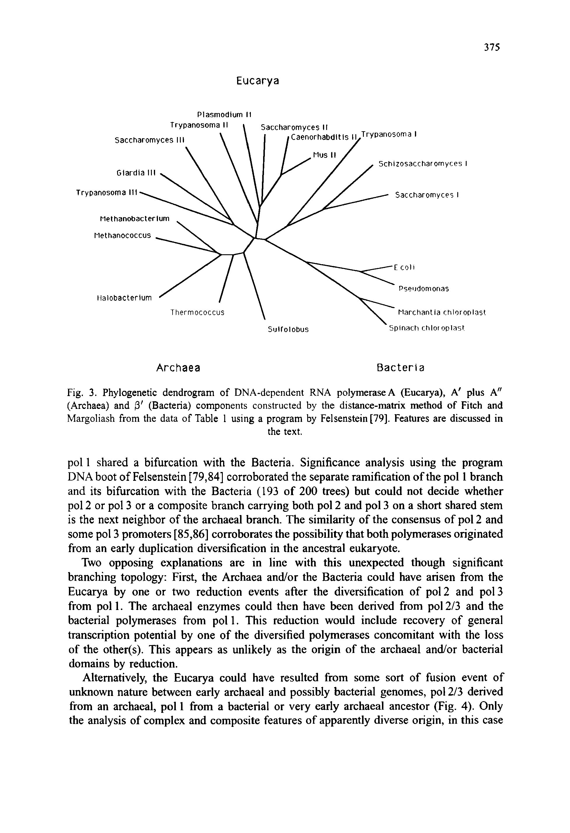 Fig. 3. Phylogenetic dendrogram of DNA-dependent RNA polymerase A (Eucarya), A plus A" (Archaea) and 3 (Bacteria) components constructed by the distance-matrix method of Fitch and Margoliash from the data of Table 1 using a program by Felsenstein [79]. Features are discussed in...
