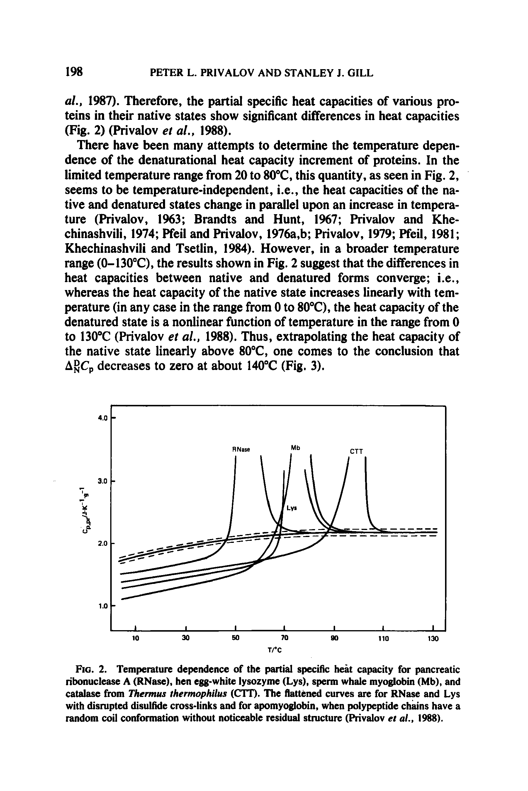 Fig. 2. Temperature dependence of the partial specific heat capacity for pancreatic ribonuclease A (RNase), hen egg-white lysozyme (Lys), sperm whale myoglobin (Mb), and catalase from Thermus thermophilus (CTT). The flattened curves are for RNase and Lys with disrupted disulfide cross-links and for apomyoglobin, when polypeptide chains have a random coil conformation without noticeable residual structure (Privalov et al., 1988).