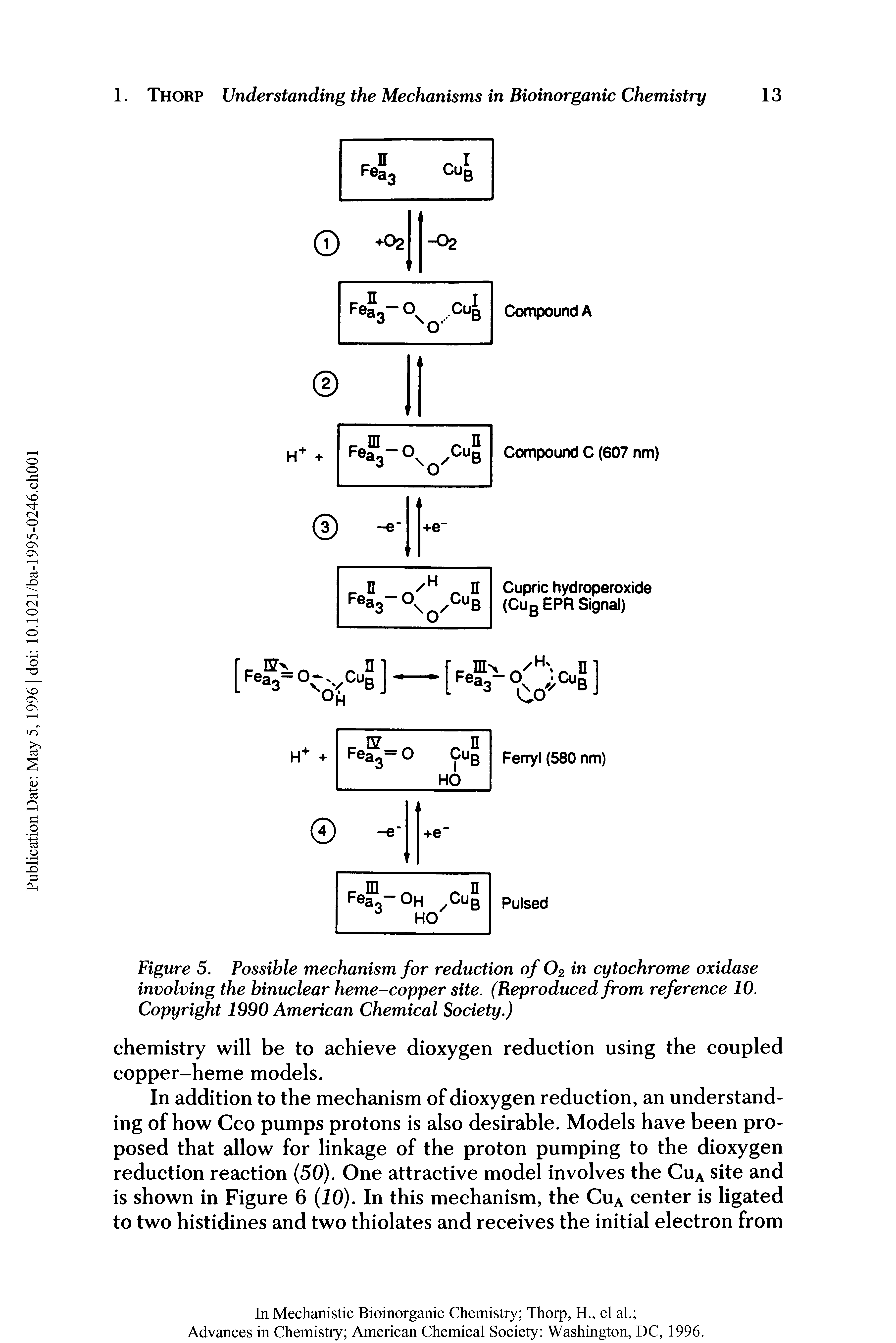 Figure 5. Possible mechanism for reduction of 02 in cytochrome oxidase involving the binuclear heme-copper site. (Reproduced from reference 10. Copyright 1990 American Chemical Society.)...