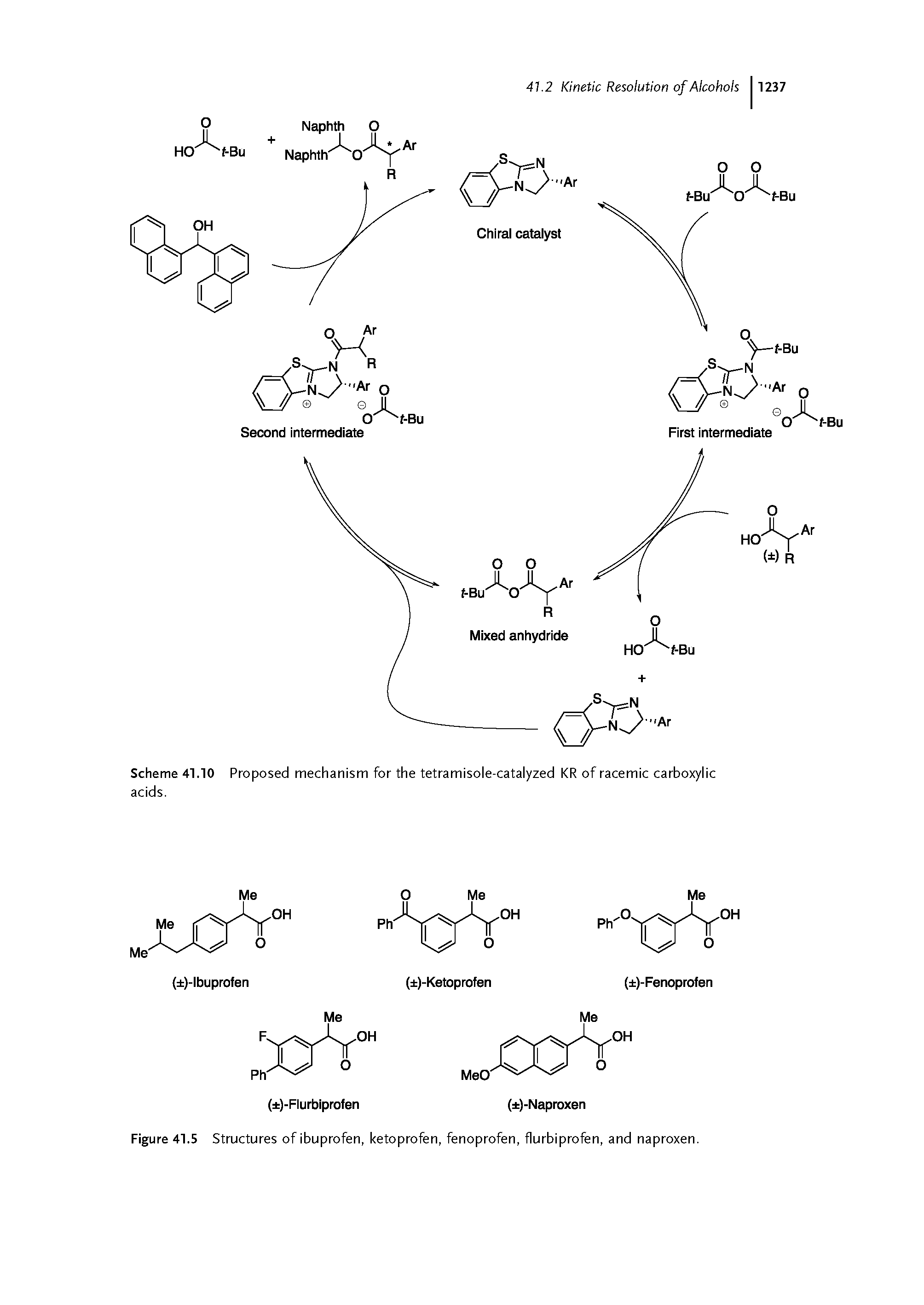 Figure 41.5 Structures of ibuprofen, ketoprofen, fenoprofen, flurbiprofen, and naproxen.