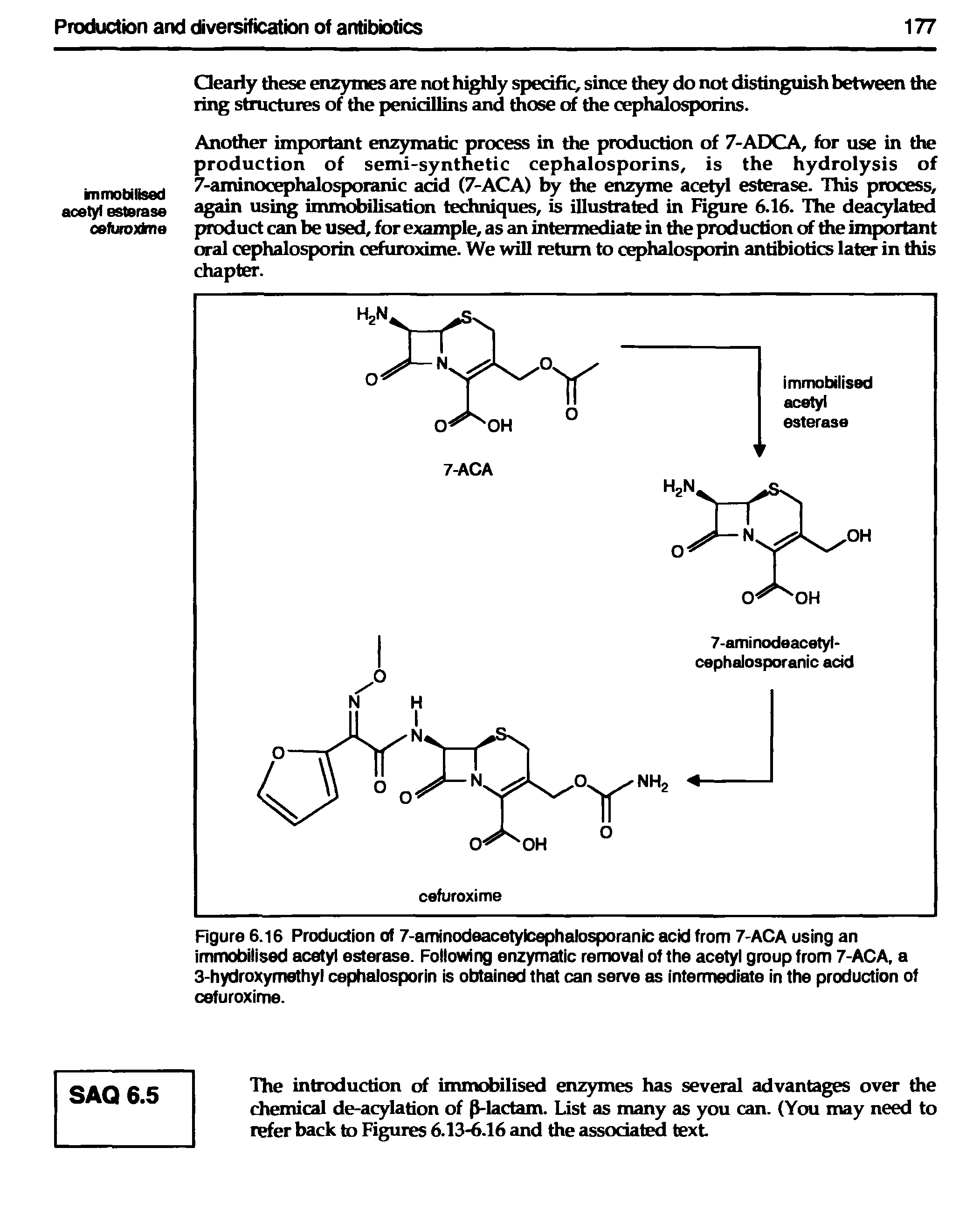 Figure 6.16 Production of 7-aminodeacetyicephalosporanic acid from 7-ACA using an immobilised acetyl esterase. Following enzymatic removal of the acetyl group from 7-ACA, a 3-hydroxymethyl cephalosporin is obtained that can serve as intermediate in the production of cefuroxime.