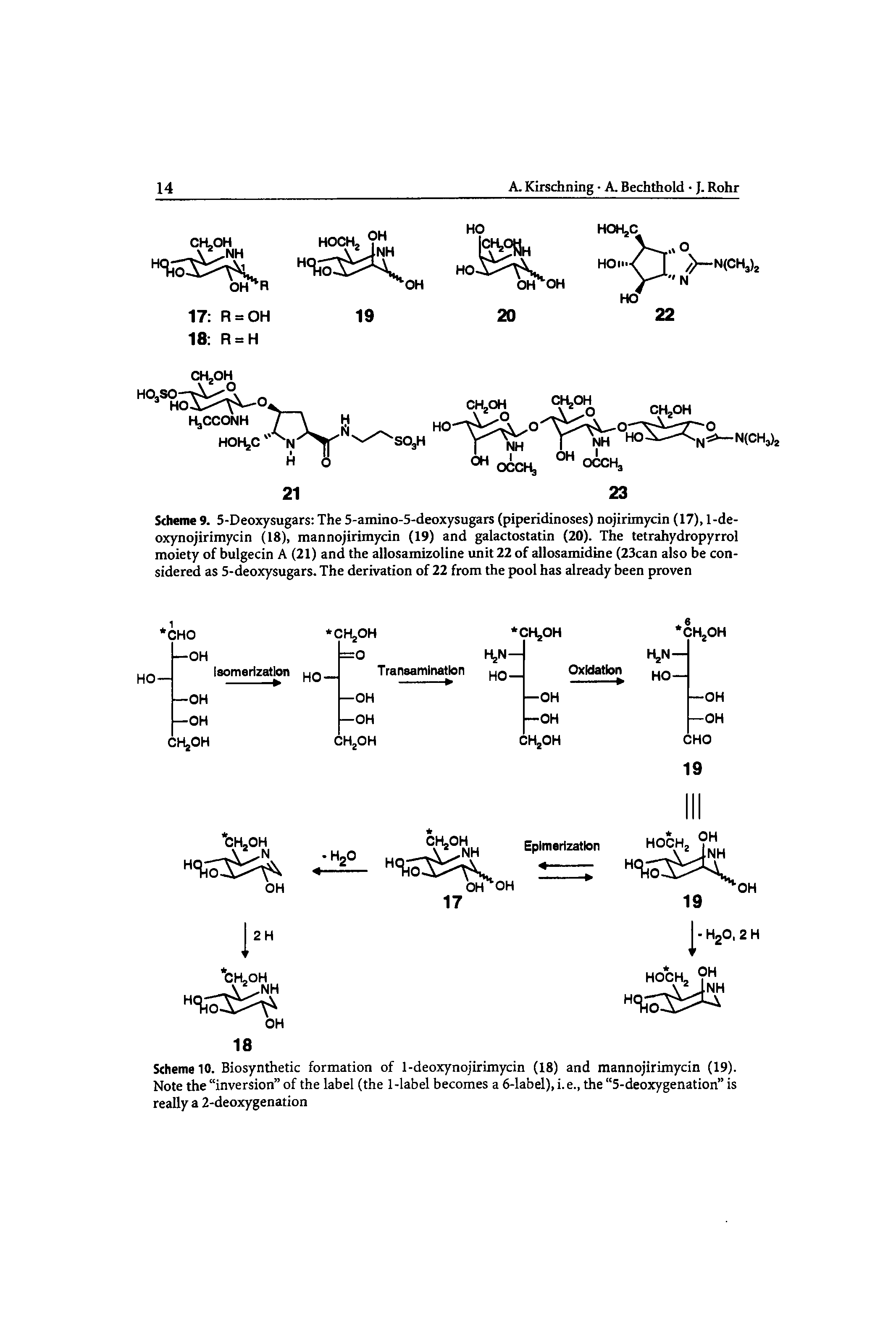 Scheme 10. Biosynthetic formation of 1-deoxynojirimycin (18) and mannojirimycin (19). Note the inversion of the label (the 1 -label becomes a 6-label), i. e., the 5-deoxygenation is really a 2-deoxygenation...