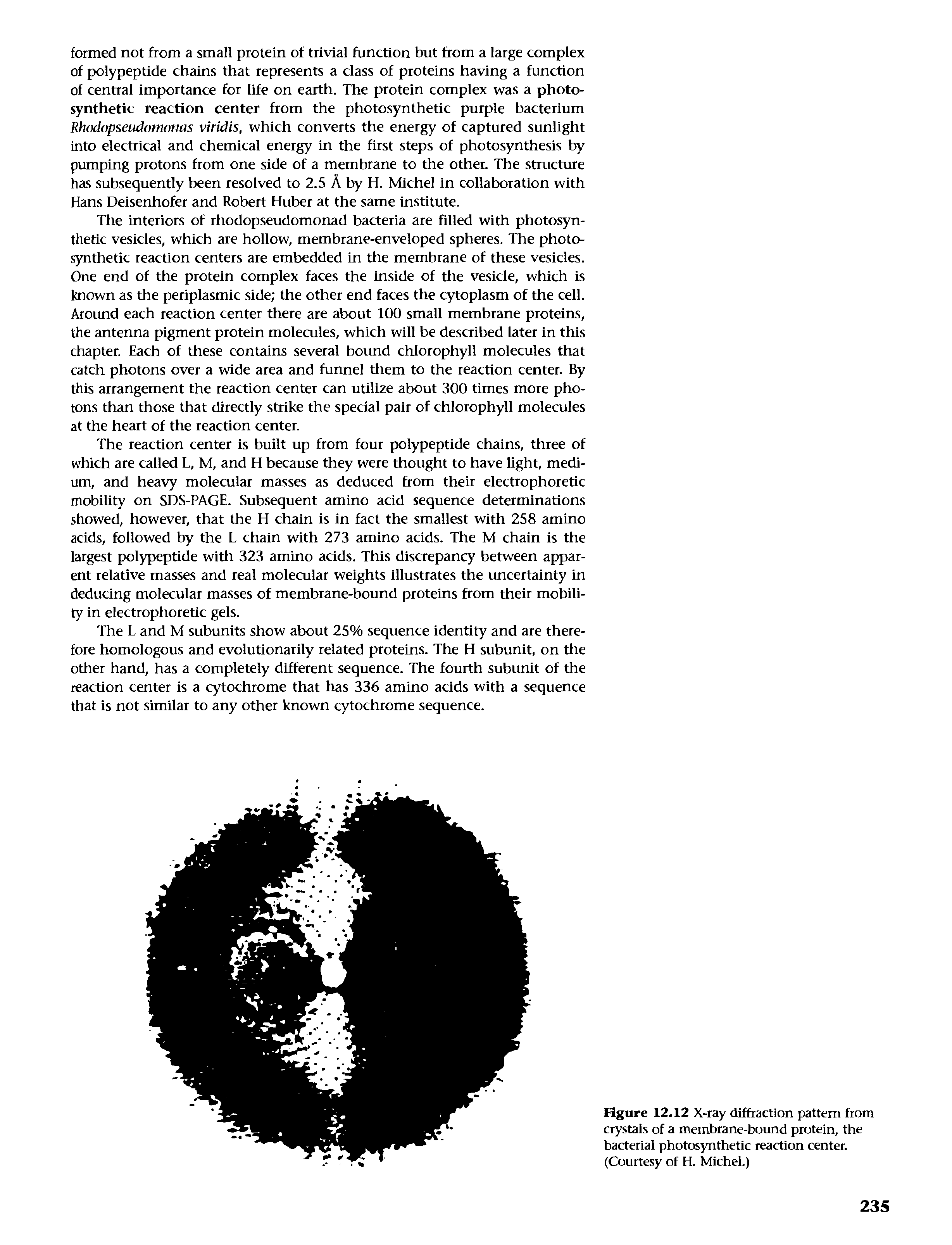 Figure 12.12 X-ray diffraction pattern from crystals of a membrane-bound protein, the bacterial photosynthetic reaction center. (Courtesy of H. Michel.)...