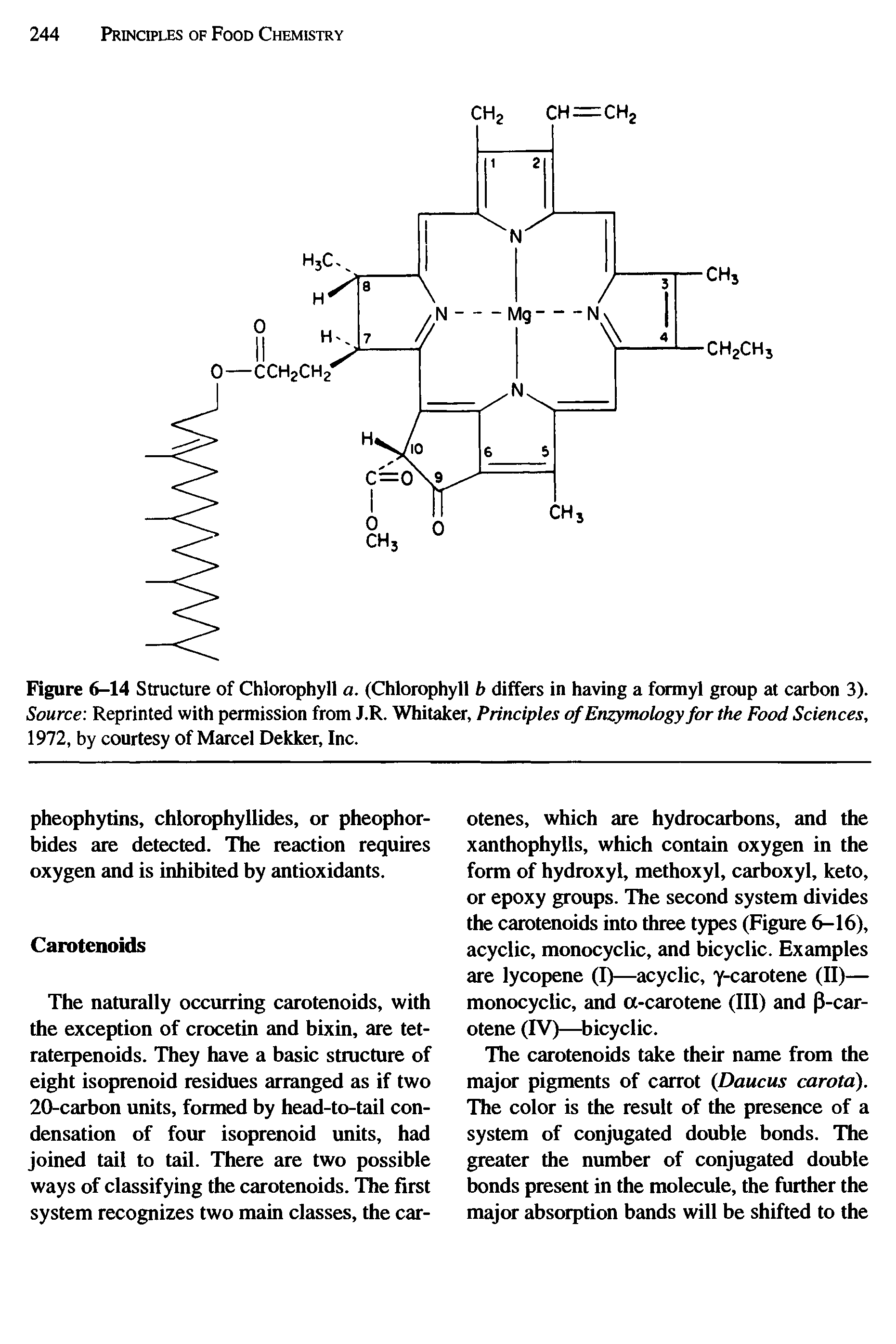 Figure 6-14 Structure of Chlorophyll a. (Chlorophyll b differs in having a formyl group at carbon 3). Source Reprinted with permission from J.R. Whitaker, Principles ofEnzymology for the Food Sciences, 1972, by courtesy of Marcel Dekker, Inc.