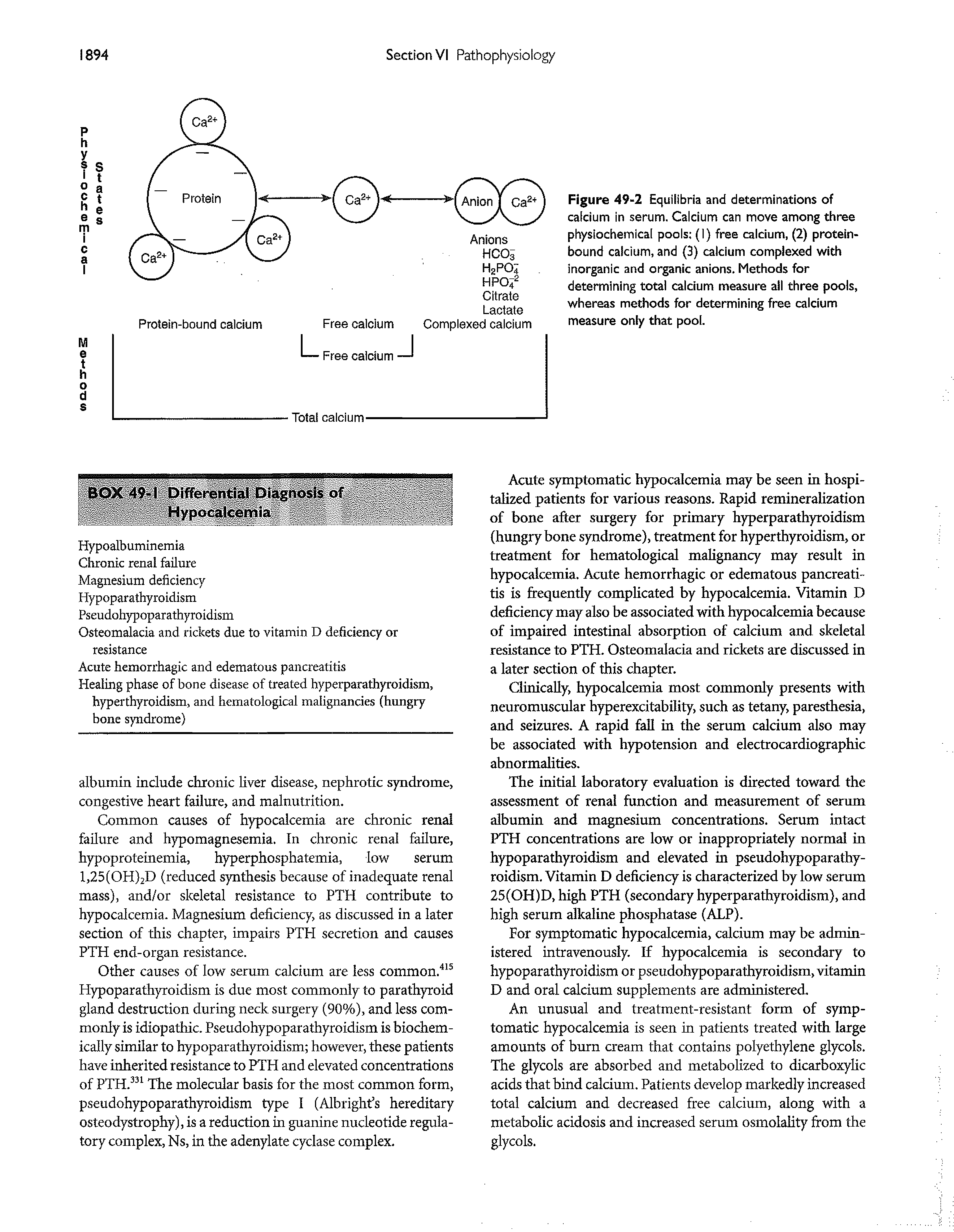 Figure 49-2 Equilibria and determinations of calcium in serum. Calcium can move among three physiochemical pools (1) free calcium, (2) protein-bound calcium, and (3) calcium complexed with inorganic and organic anions. Methods for determining total calcium measure all three pools, whereas methods for determining free calcium measure only that pool.