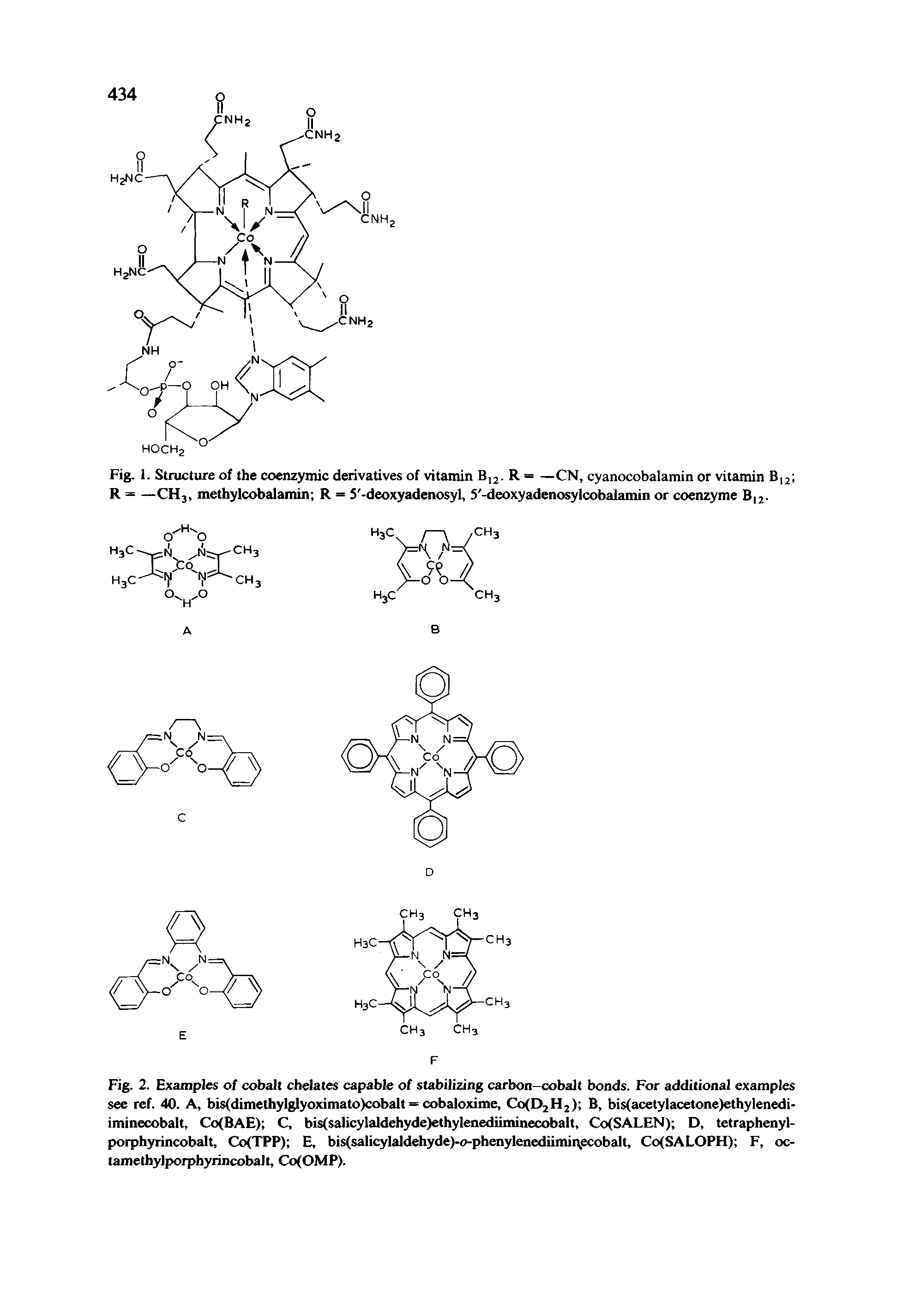 Fig. 2. Examples of cobalt chelates capable of stabilizing carbon-cobalt bonds. For additional examples see ref. 40. A, bis(dimethylglyoximato)cobalt = cobaloxime, CofDjHj) B, bis(acetylacetone)ethyIenedi-iminecobalt, Co(BAE) C, bis(salicylaldehyde)ethylenediiminecobalt, Co(SALEN) D, tetraphenyl-porphyrincobalt, Co(TPP) E, bis(salicylaldehyde)-o-phenylenediimit, ecobalt, CofSALOPH) F, oc-tamethylporphyrincobalt, Co(OMP).