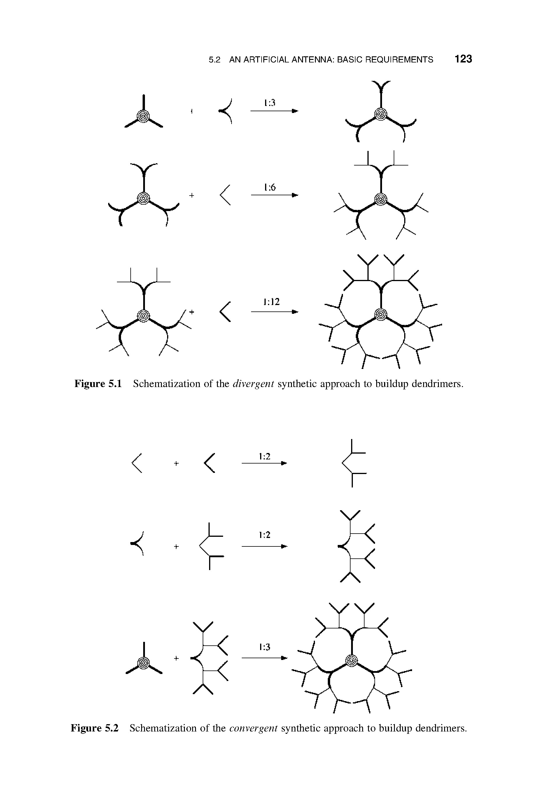 Figure 5.1 Schematization of the divergent synthetic approach to buildup dendrimers.