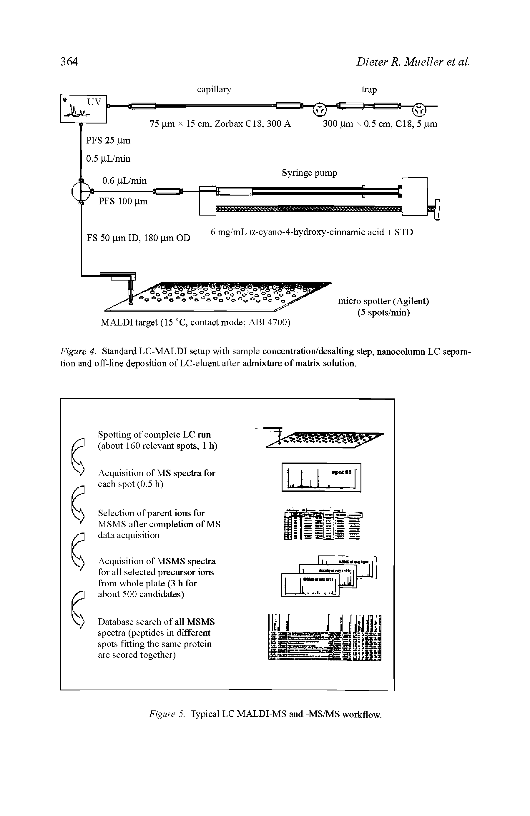 Figure 4. Standard LC-MALDI setup with sample concentration/desalting step, nanocolumn LC separation and off-line deposition of LC-eluent after admixture of matrix solution.