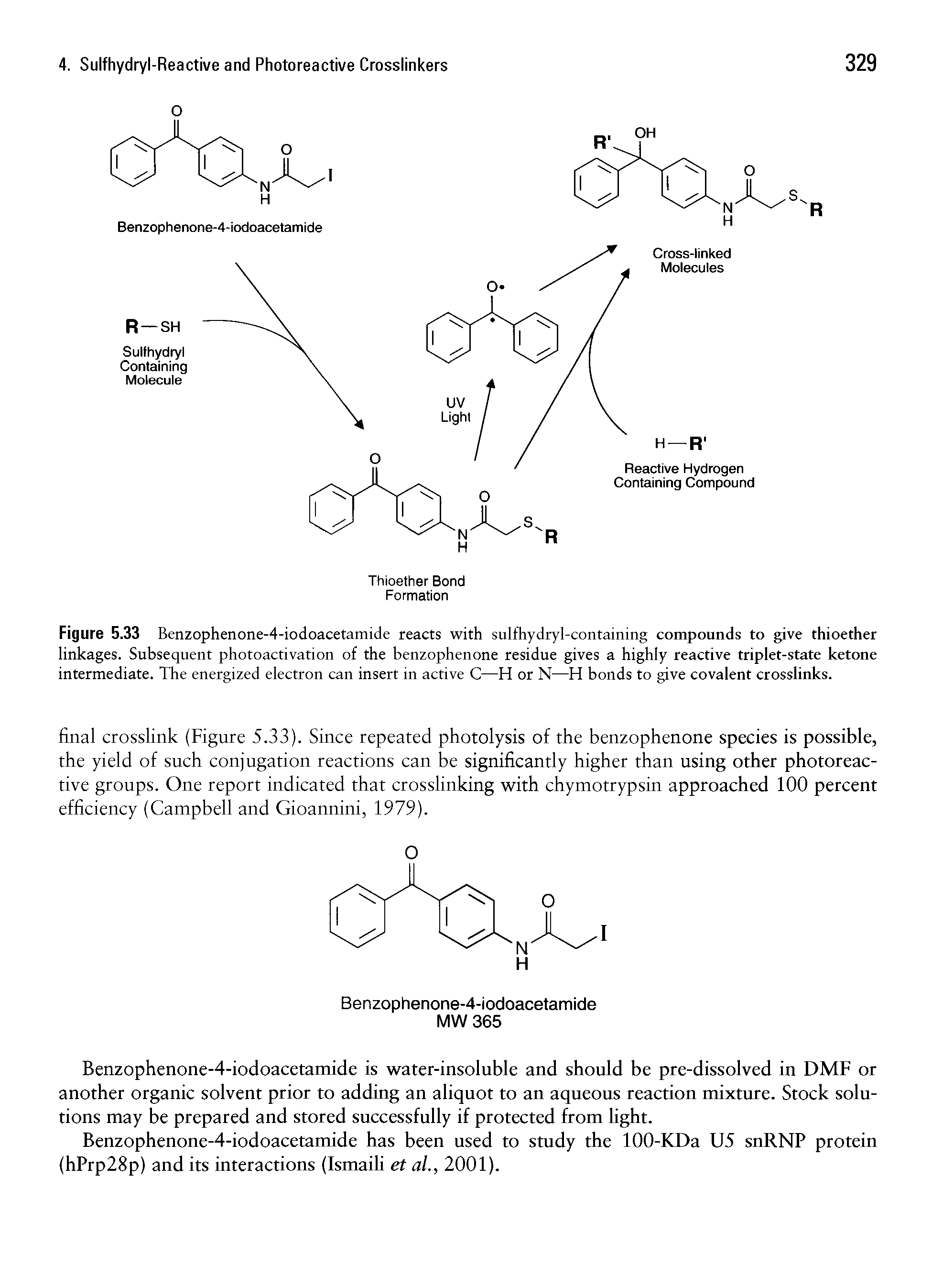 Figure 5.33 Benzophenone-4-iodoacetamide reacts with sulfhydryl-containing compounds to give thioether linkages. Subsequent photoactivation of the benzophenone residue gives a highly reactive triplet-state ketone intermediate. The energized electron can insert in active C—H or N—H bonds to give covalent crosslinks.