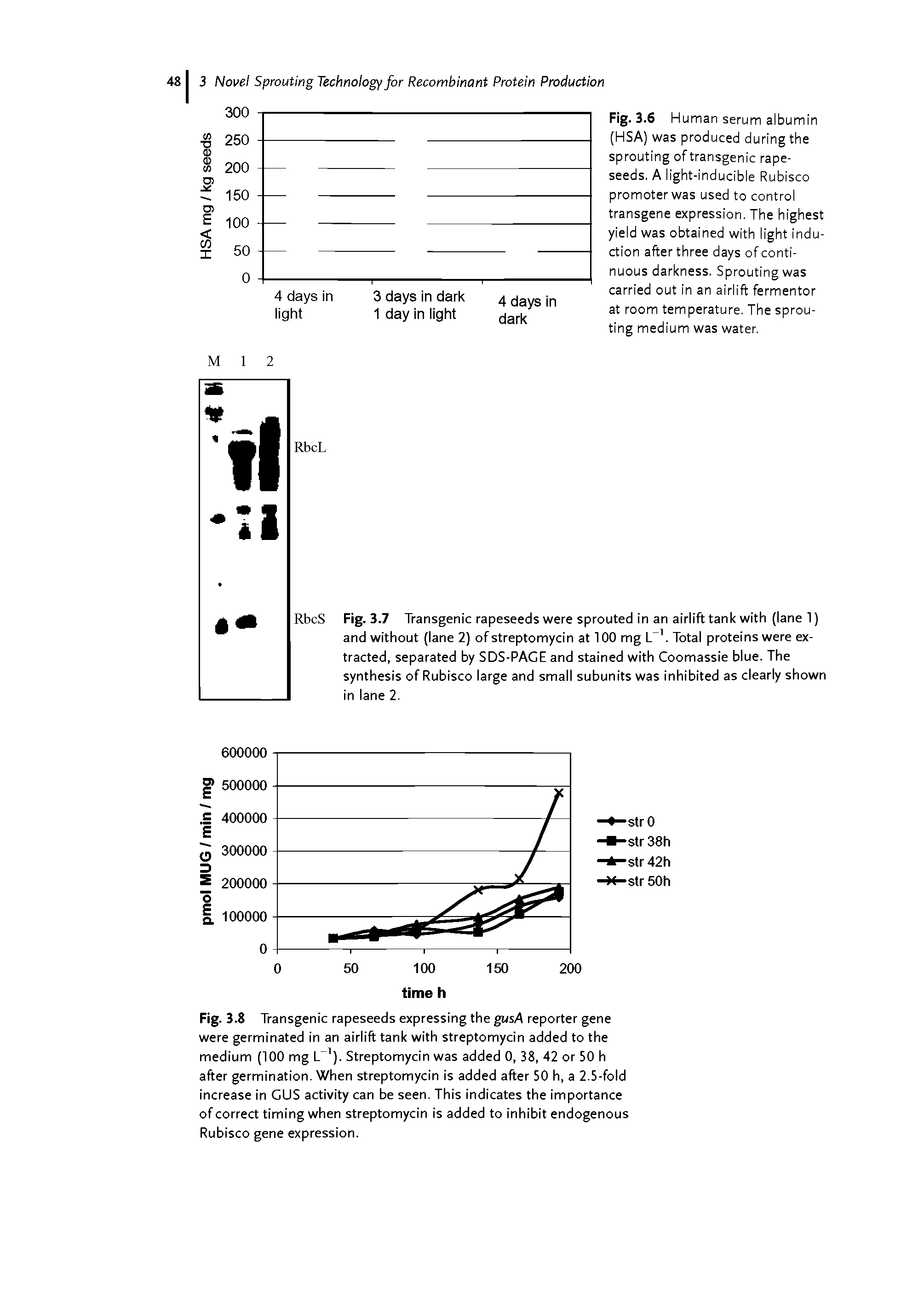 Fig. 3.6 Human serum albumin (HSA) was produced during the sprouting of transgenic rape-seeds. A light-inducible Rubisco promoter was used to control transgene expression. The highest yield was obtained with light induction after three days of continuous darkness. Sprouting was carried out in an airlift fermentor at room temperature. The sprouting medium was water.