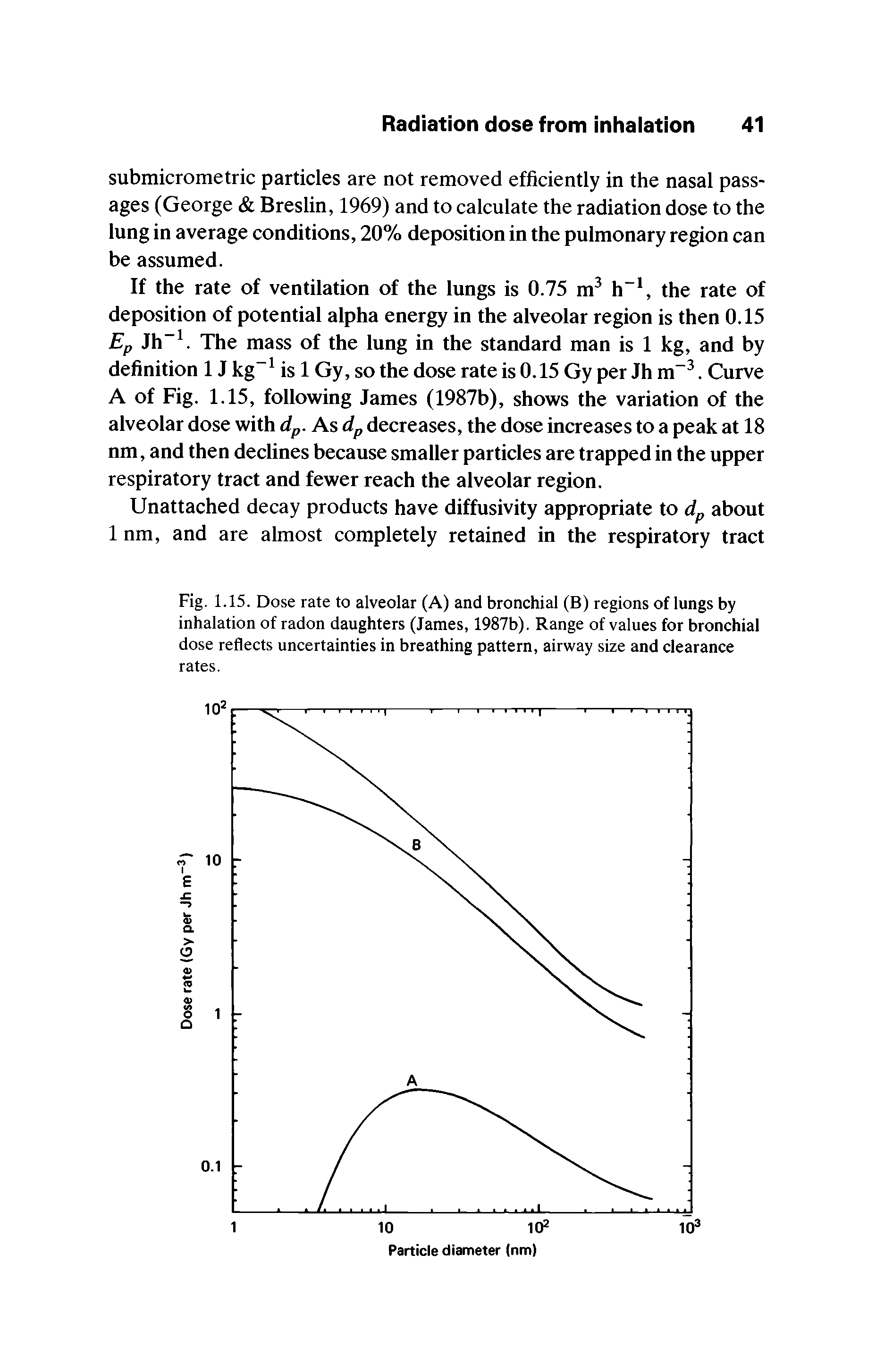 Fig. 1.15. Dose rate to alveolar (A) and bronchial (B) regions of lungs by inhalation of radon daughters (James, 1987b). Range of values for bronchial dose reflects uncertainties in breathing pattern, airway size and clearance rates.