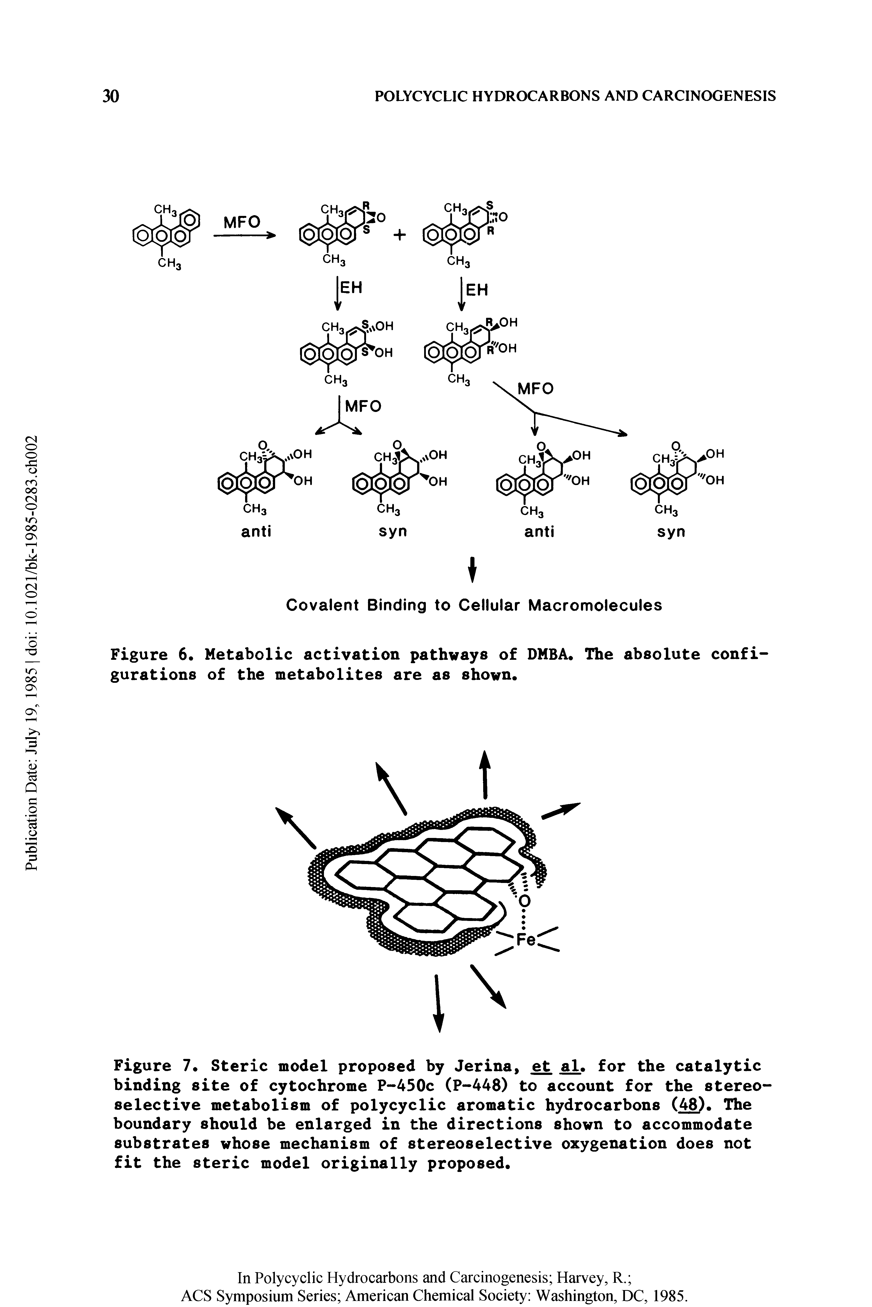 Figure 7. Steric model proposed by Jerina, et al. for the catalytic binding site of cytochrome P-450c (P-448) to account for the stereoselective metabolism of polycyclic aromatic hydrocarbons (48). The boundary should be enlarged in the directions shown to accommodate substrates whose mechanism of stereoselective oxygenation does not fit the steric model originally proposed.