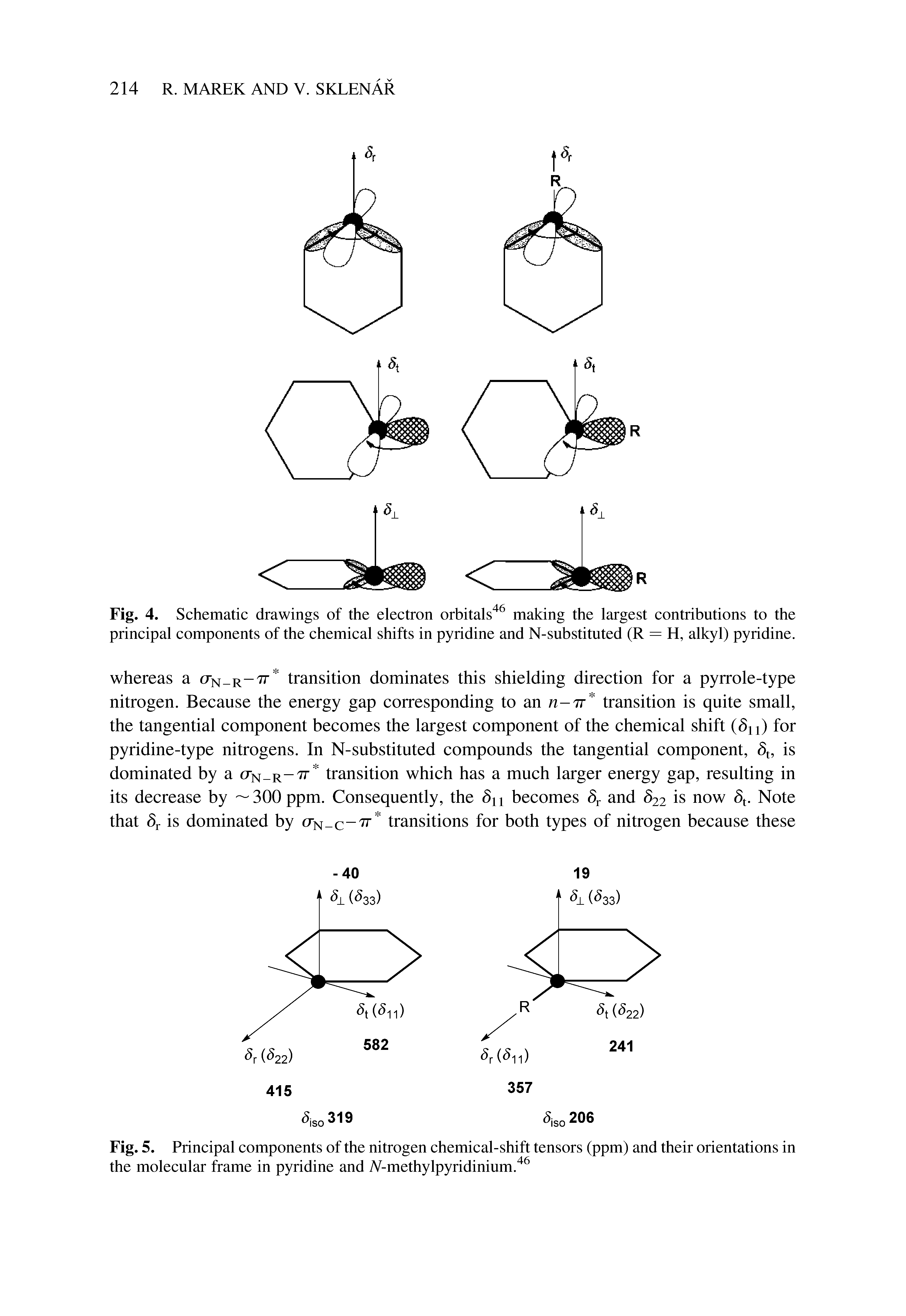 Fig. 4. Schematic drawings of the electron orbitals making the largest contributions to the principal components of the chemical shifts in pyridine and N-substituted (R = H, alkyl) pyridine.