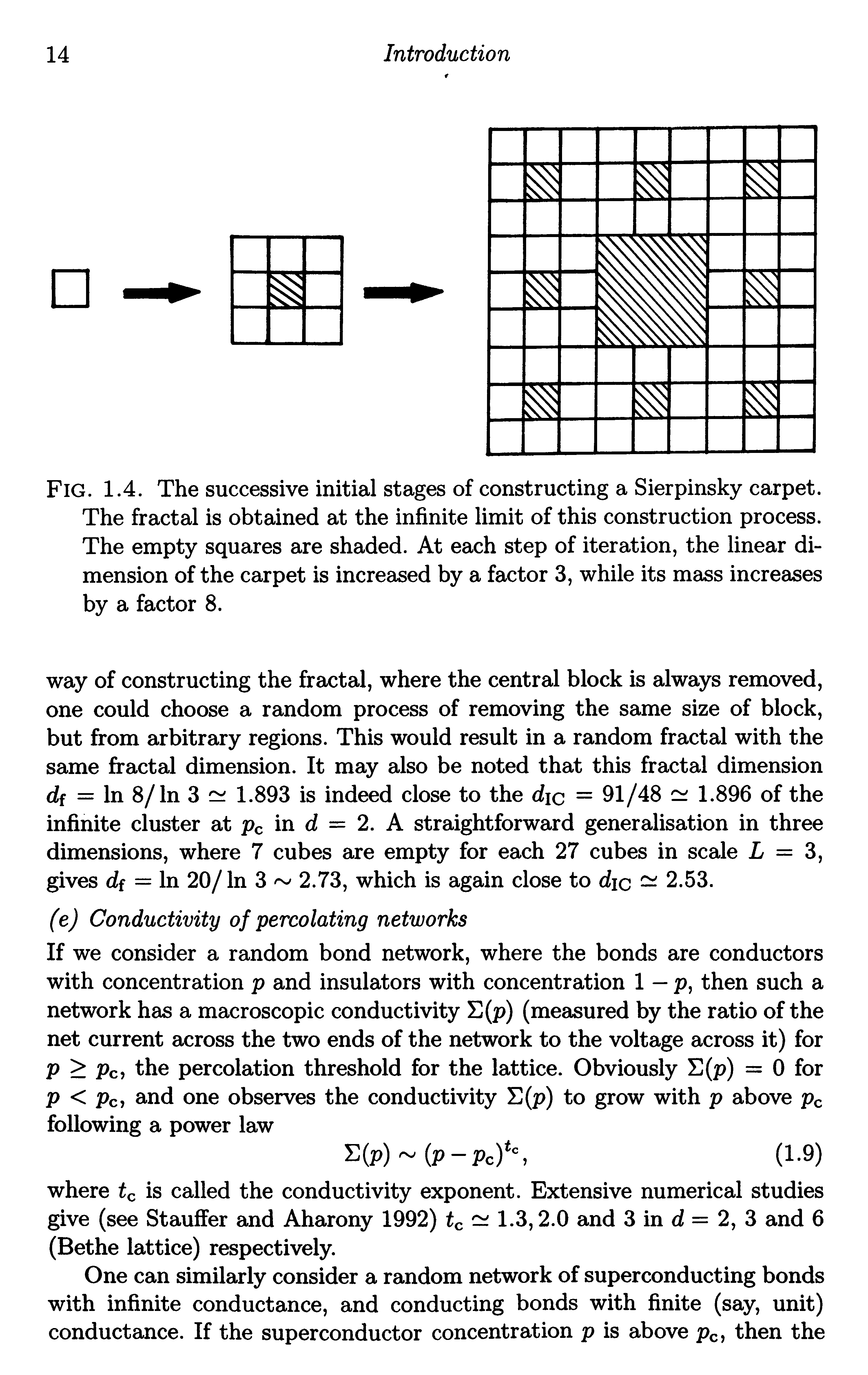 Fig. 1.4. The successive initial stages of constructing a Sierpinsky carpet. The fractal is obtained at the infinite limit of this construction process. The empty squares are shaded. At each step of iteration, the linear dimension of the carpet is increased by a factor 3, while its mass increases by a factor 8.
