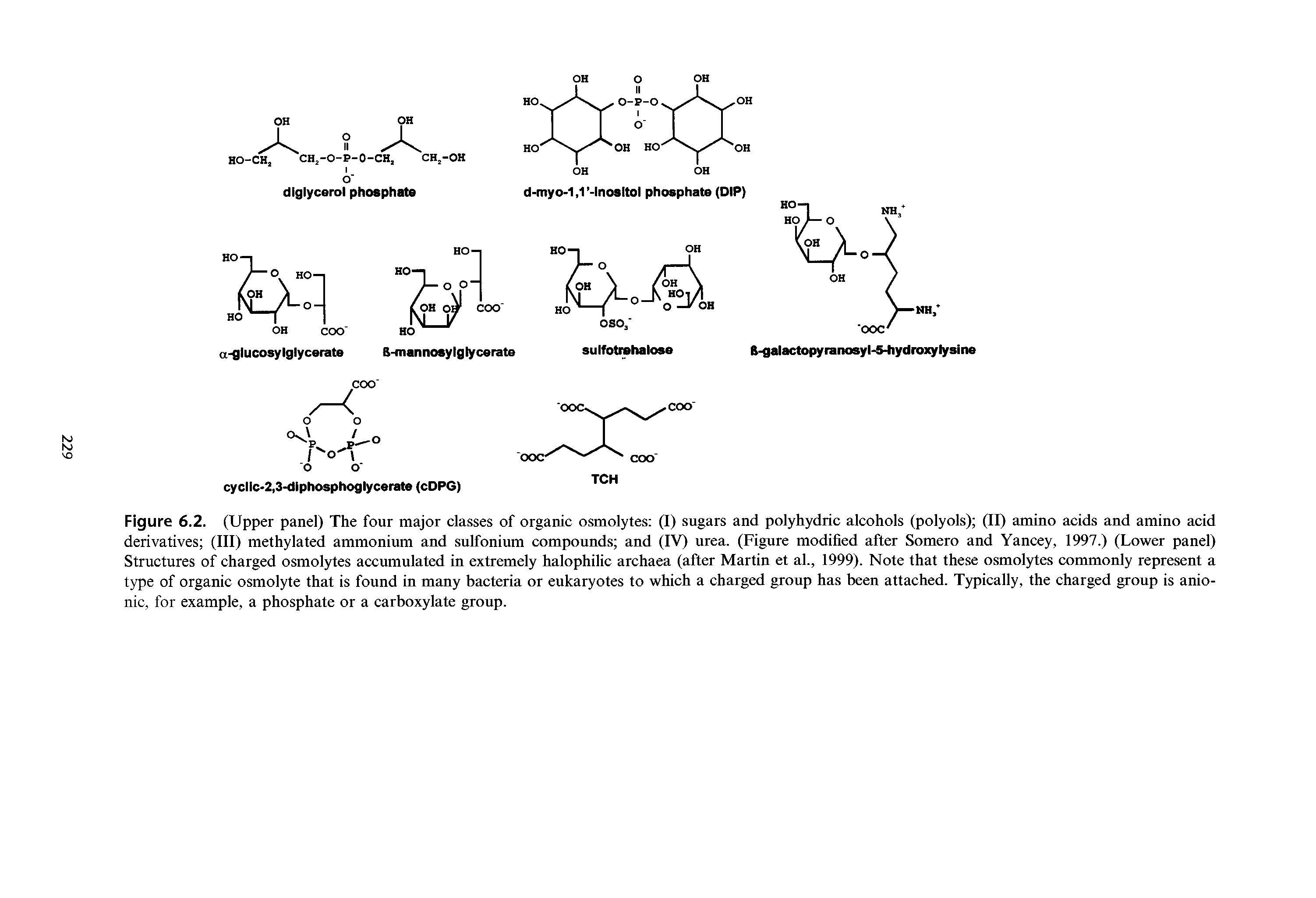 Figure 6.2. (Upper panel) The four major classes of organic osmolytes (I) sugars and polyhydric alcohols (polyols) (II) amino acids and amino acid derivatives (III) methylated ammonium and sulfonium compounds and (IV) urea. (Figure modified after Somero and Yancey, 1997.) (Lower panel) Structures of charged osmolytes accumulated in extremely halophilic archaea (after Martin et al., 1999). Note that these osmolytes commonly represent a type of organic osmolyte that is found in many bacteria or eukaryotes to which a charged group has been attached. Typically, the charged group is anionic, for example, a phosphate or a carboxylate group.