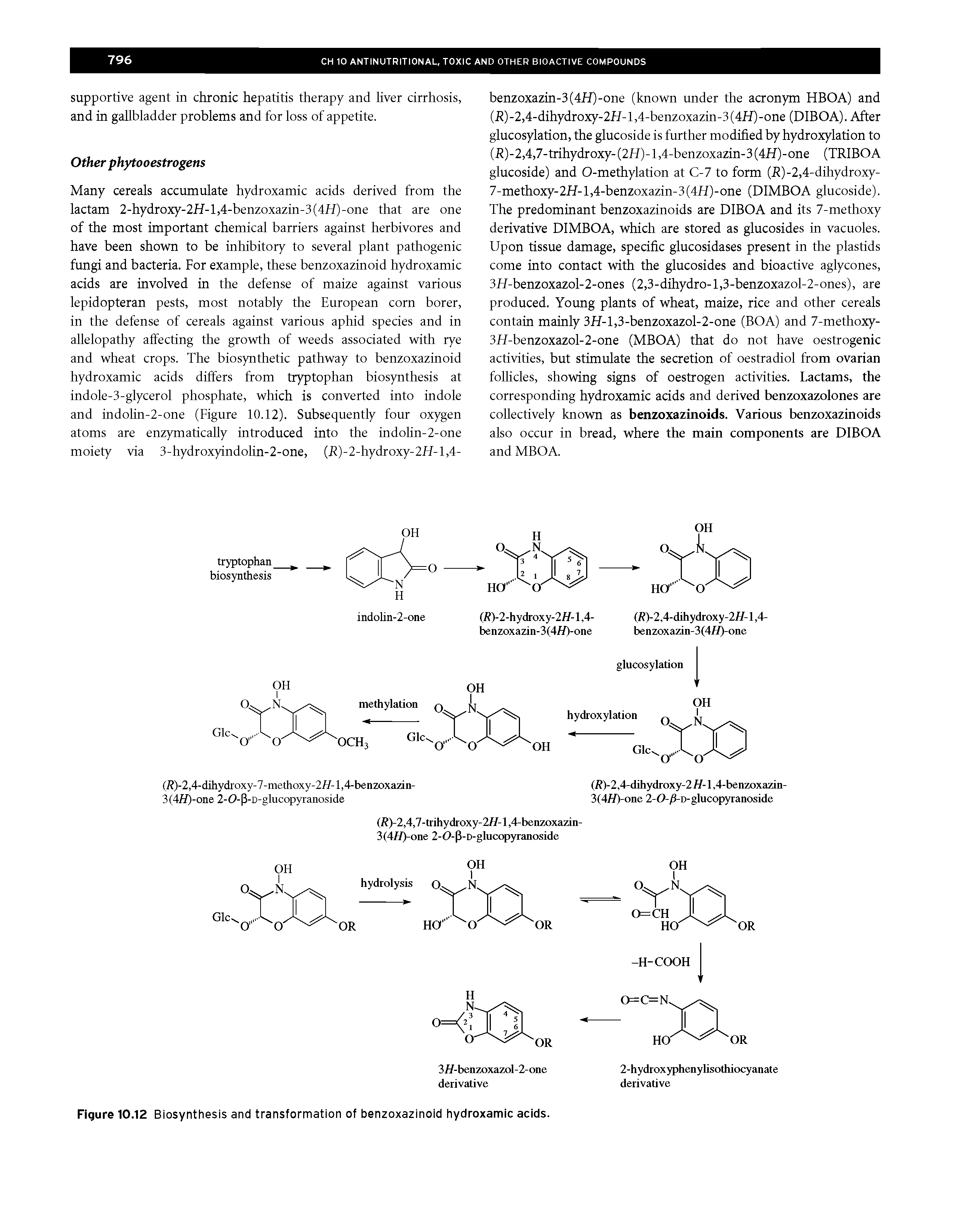 Figure 10.12 Biosynthesis and transformation of benzoxazinoid hydroxamic acids.