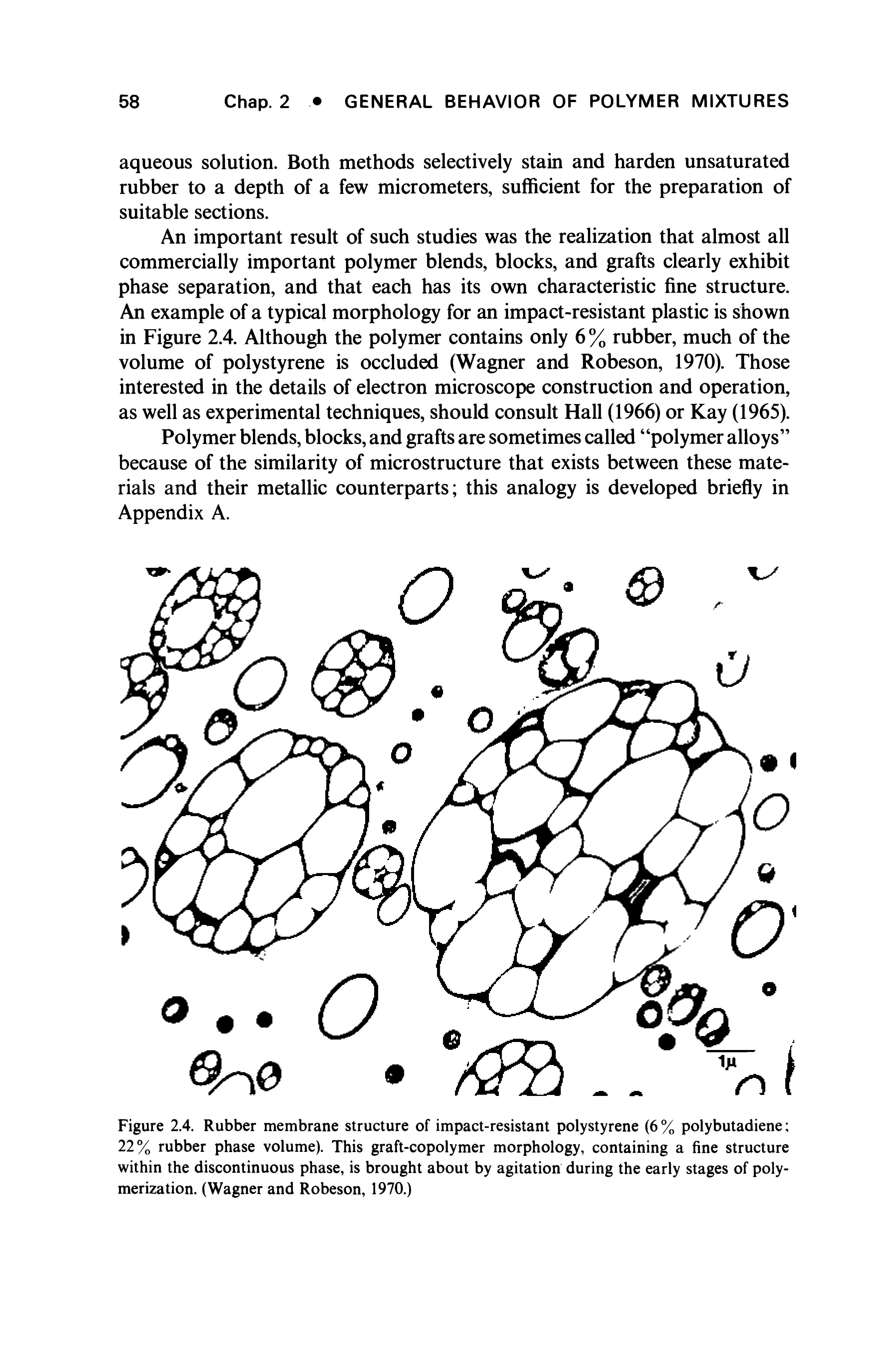 Figure 2.4. Rubber membrane structure of impact-resistant polystyrene (6% polybutadiene 22% rubber phase volume). This graft-copolymer morphology, containing a fine structure within the discontinuous phase, is brought about by agitation during the early stages of polymerization. (Wagner and Robeson, 1970.)...
