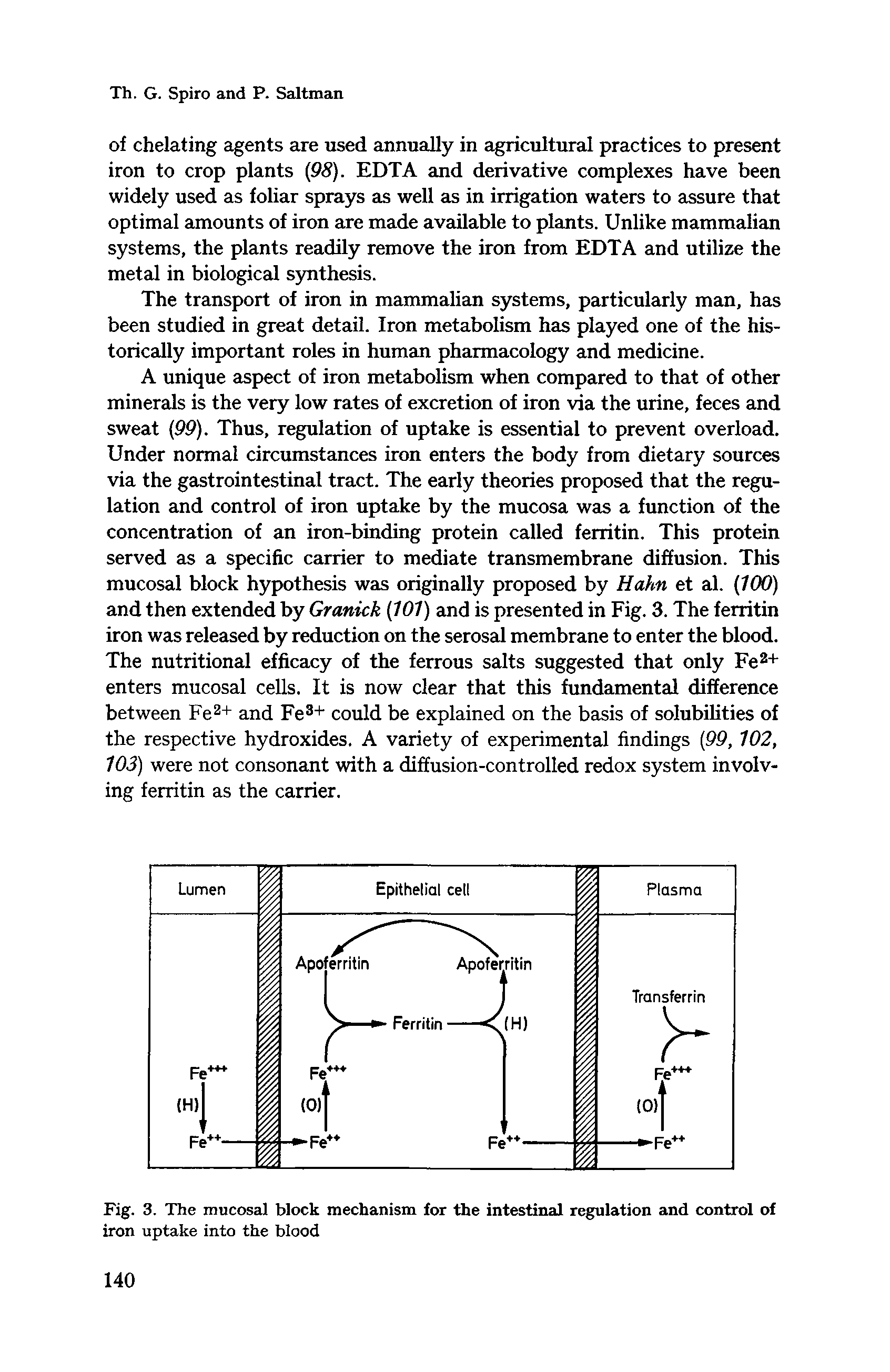 Fig. 3. The mucosal block mechanism for the intestinal regulation and control of iron uptake into the blood...