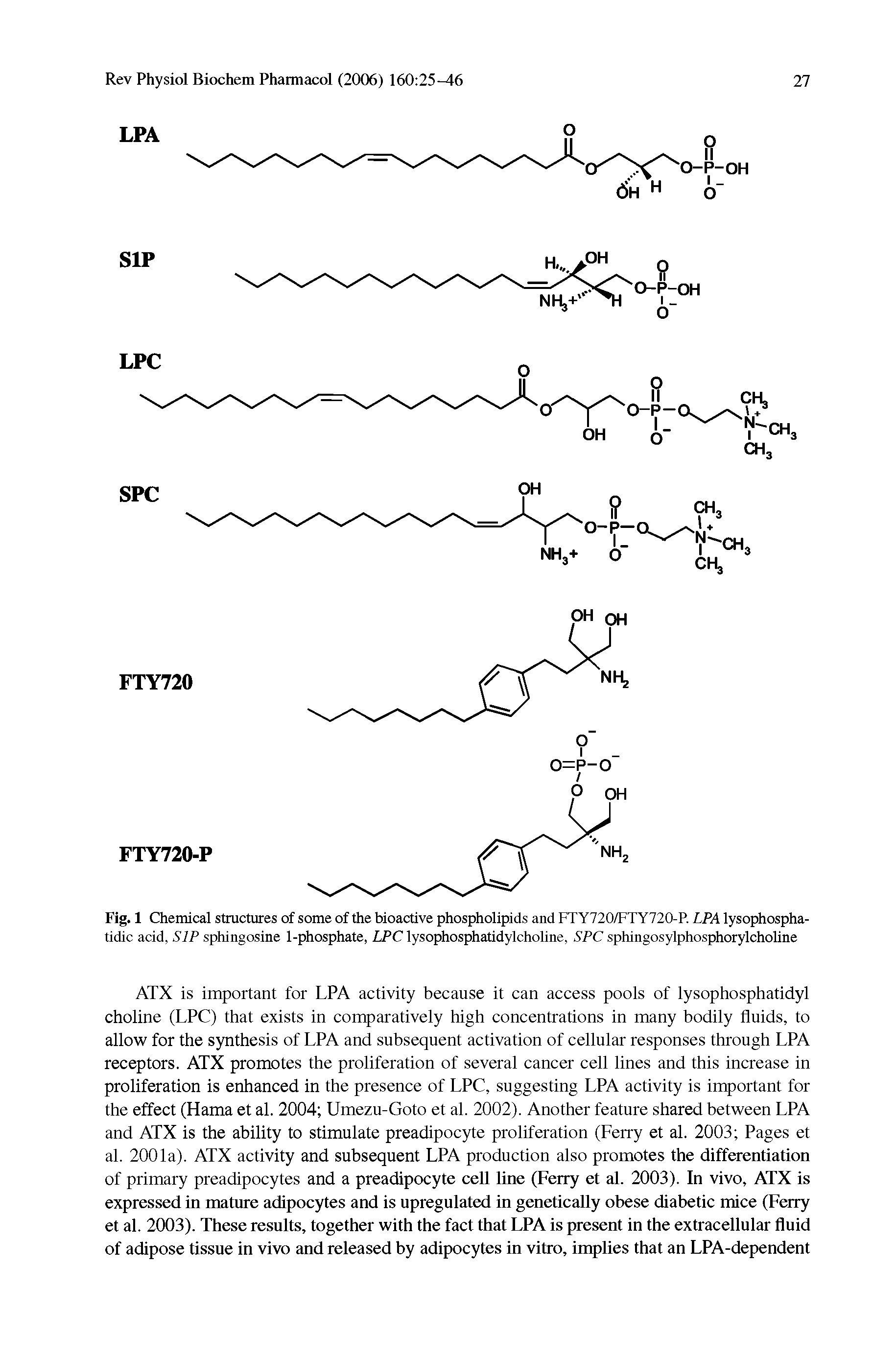 Fig. 1 Chemical structures of some of the bioactive phospholipids and FTY720/FTY720-P. LPA lysophosphatidic acid, SIP sphingosine 1-phosphate, LPC lysophosphatidylcholine, SPC sphingosylphosphorylcholine...
