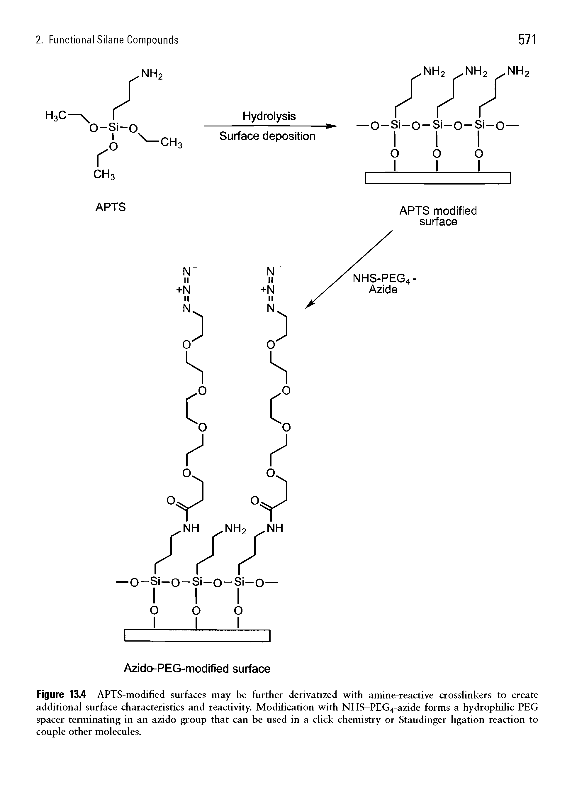 Figure 13.4 APTS-modified surfaces may be further derivatized with amine-reactive crosslinkers to create additional surface characteristics and reactivity. Modification with NHS-PEG4-azide forms a hydrophilic PEG spacer terminating in an azido group that can be used in a click chemistry or Staudinger ligation reaction to couple other molecules.