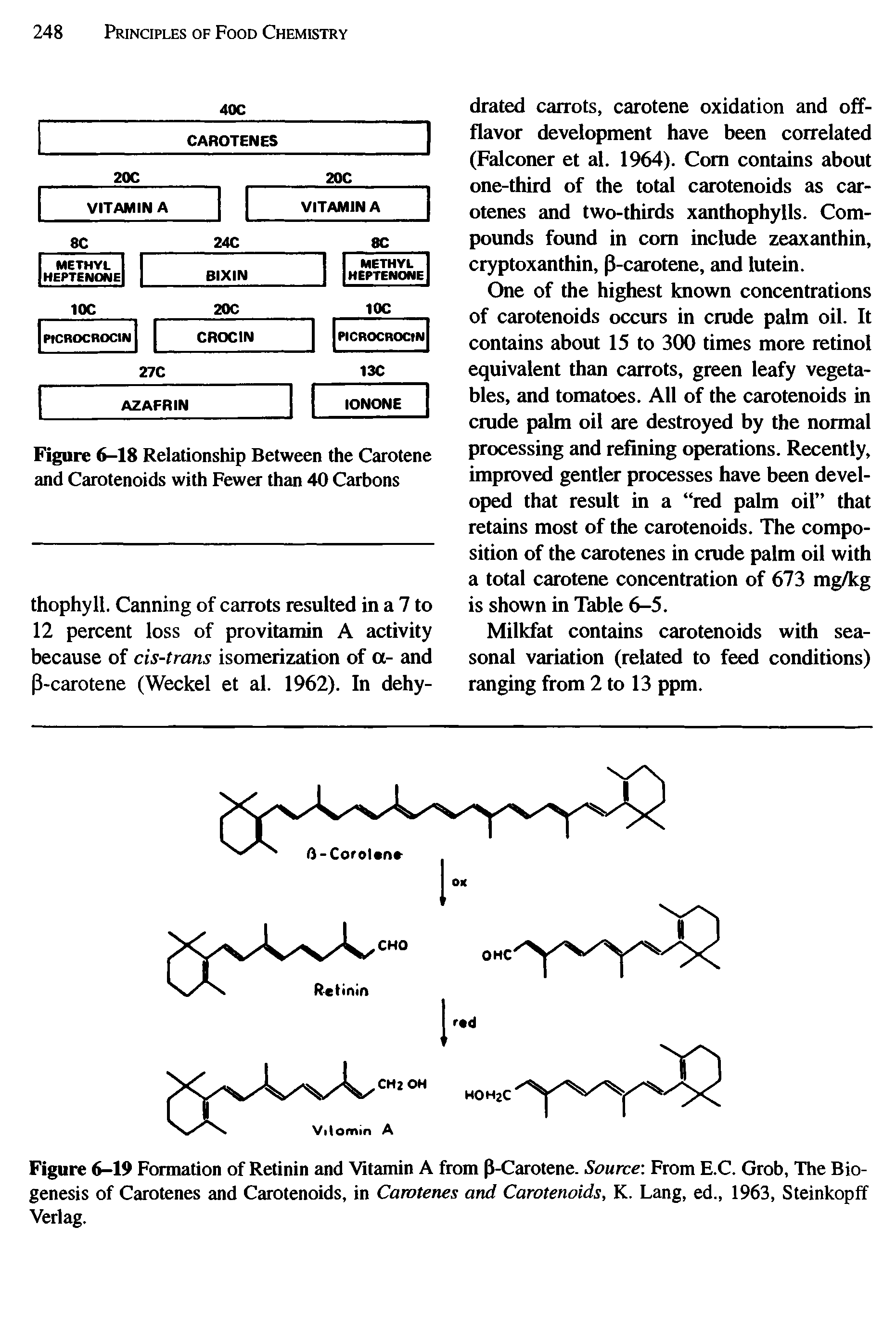 Figure 6-19 Formation of Retinin and Vitamin A from p-Carotene. Source From E.C. Grab, The Biogenesis of Carotenes and Carotenoids, in Carotenes and Carotenoids, K. Lang, ed., 1963, Steinkopff Verlag.
