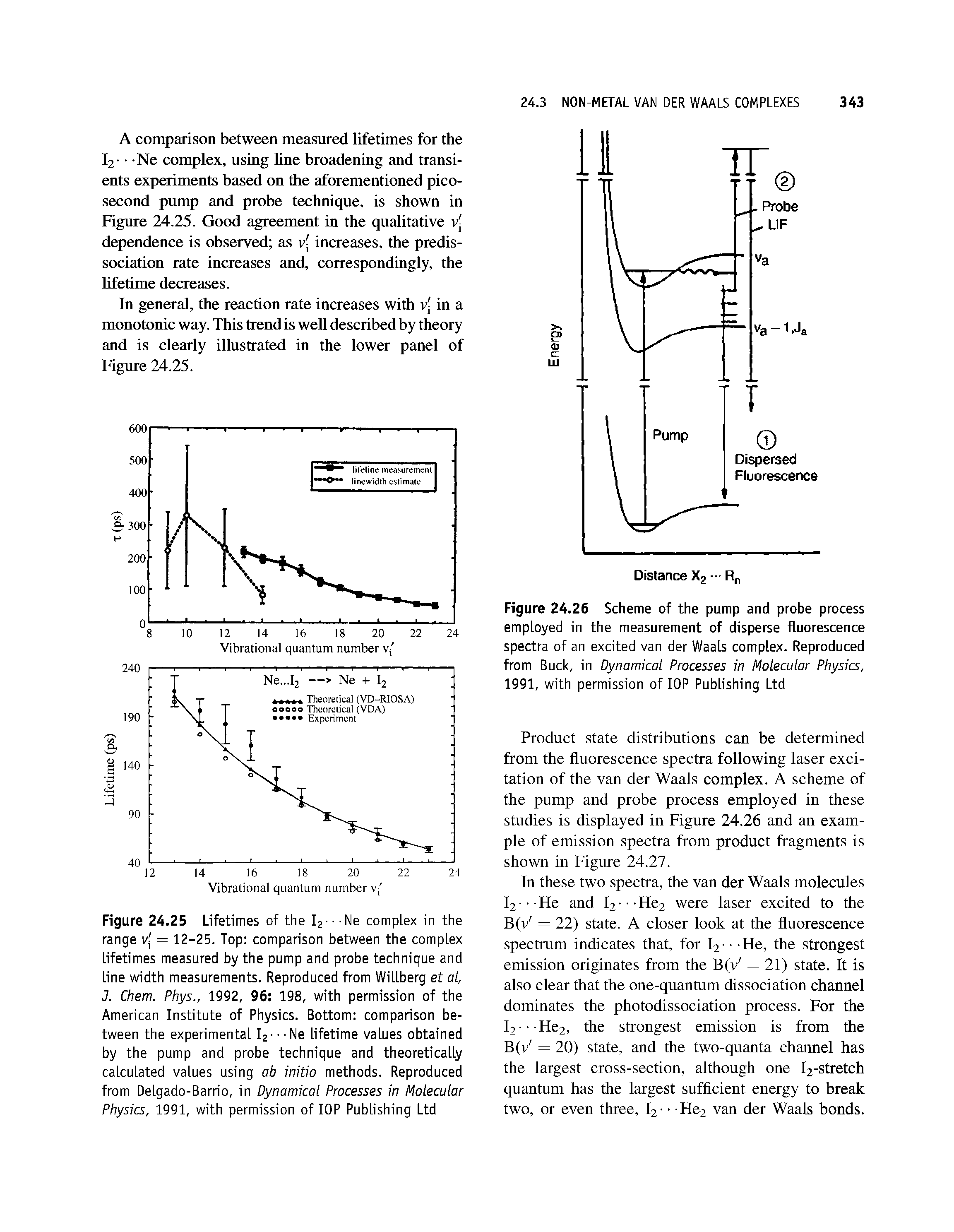 Figure 24.25 Lifetimes of the I2---Ne complex in the range v = 12-25. Top comparison between the complex lifetimes measured by the pump and probe technique and line width measurements. Reproduced from Willberg et al, J. Chem. Phys., 1992, 96 198, with permission of the American Institute of Physics. Bottom comparison between the experimental l2 - Ne lifetime values obtained by the pump and probe technique and theoretically calculated values using ab initio methods. Reproduced from Delgado-Barrio, in Dynamicai Processes in Molecular Physics, 1991, with permission of lOP Publishing Ltd...
