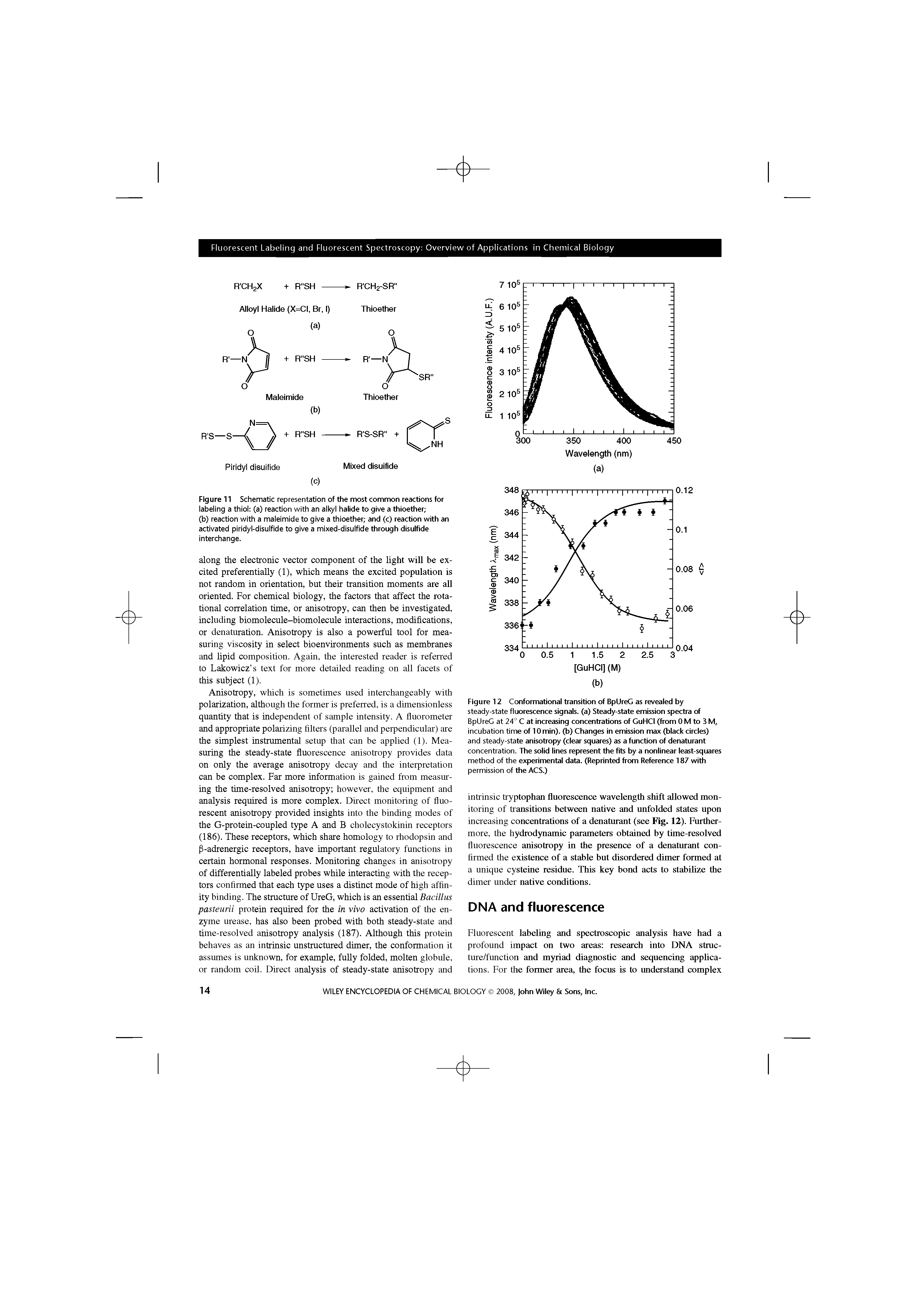 Figure 12 Conformational transition of BpUreG as revealed by steady-state fluorescence signals, (a) Steady-state emission spectra of BpUreG at 24 C at increasing concentrations of GuHCI (from 0 M to 3 M, incubation time of 10 min), (b) Changes in emission max (black circles) and steady-state anisotropy (clear squares) as a function of denaturant concentration. The solid lines represent the fits by a nonlinear least-squares method of the experimental data. (Reprinted from Reference 187 with permission of the ACS.)...