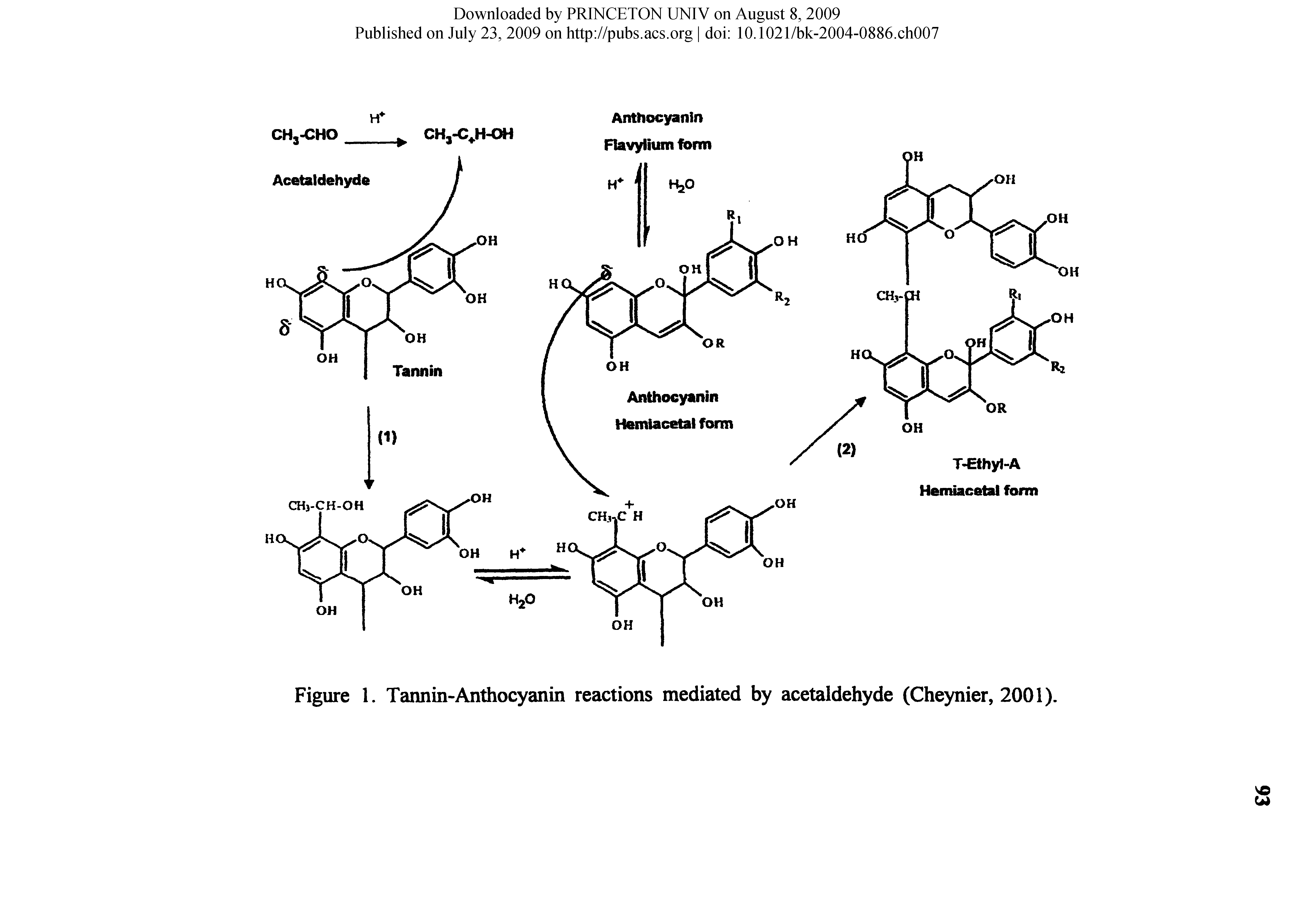 Figure 1. Tannin-Anthocyanin reactions mediated by acetaldehyde (Cheynier, 2001).