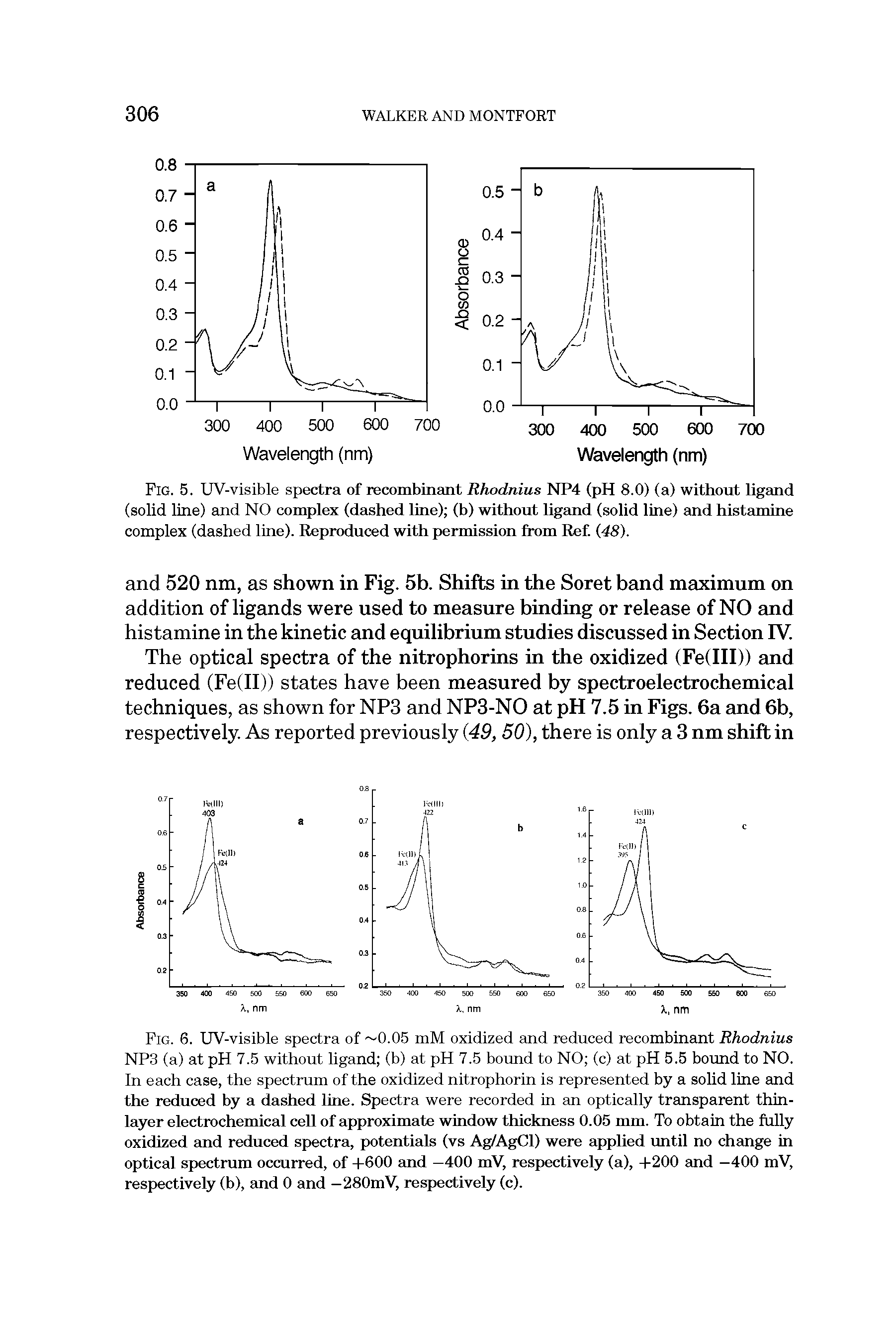 Fig. 5. UV-visible spectra of recombinant Rhodnius NP4 (pH 8.0) (a) without ligand (solid line) and NO complex (dashed line) (b) without ligand (solid line) and histamine complex (dashed line). Reproduced with permission from Ret (48).