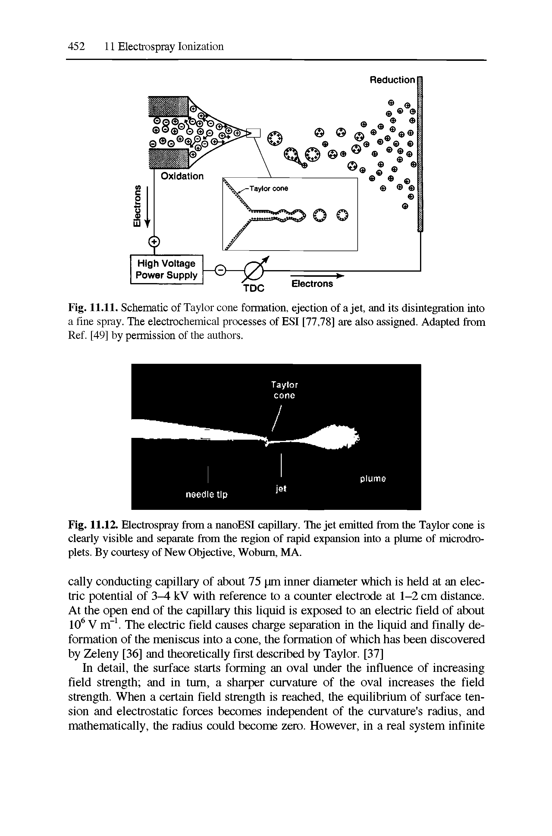 Fig. 11.11. Schematic of Taylor cone formation, ejection of a jet, and its disintegration into a fine spray. The electrochemical processes of ESI [77,78] are also assigned. Adapted from Ref. [49] by permission of the authors.