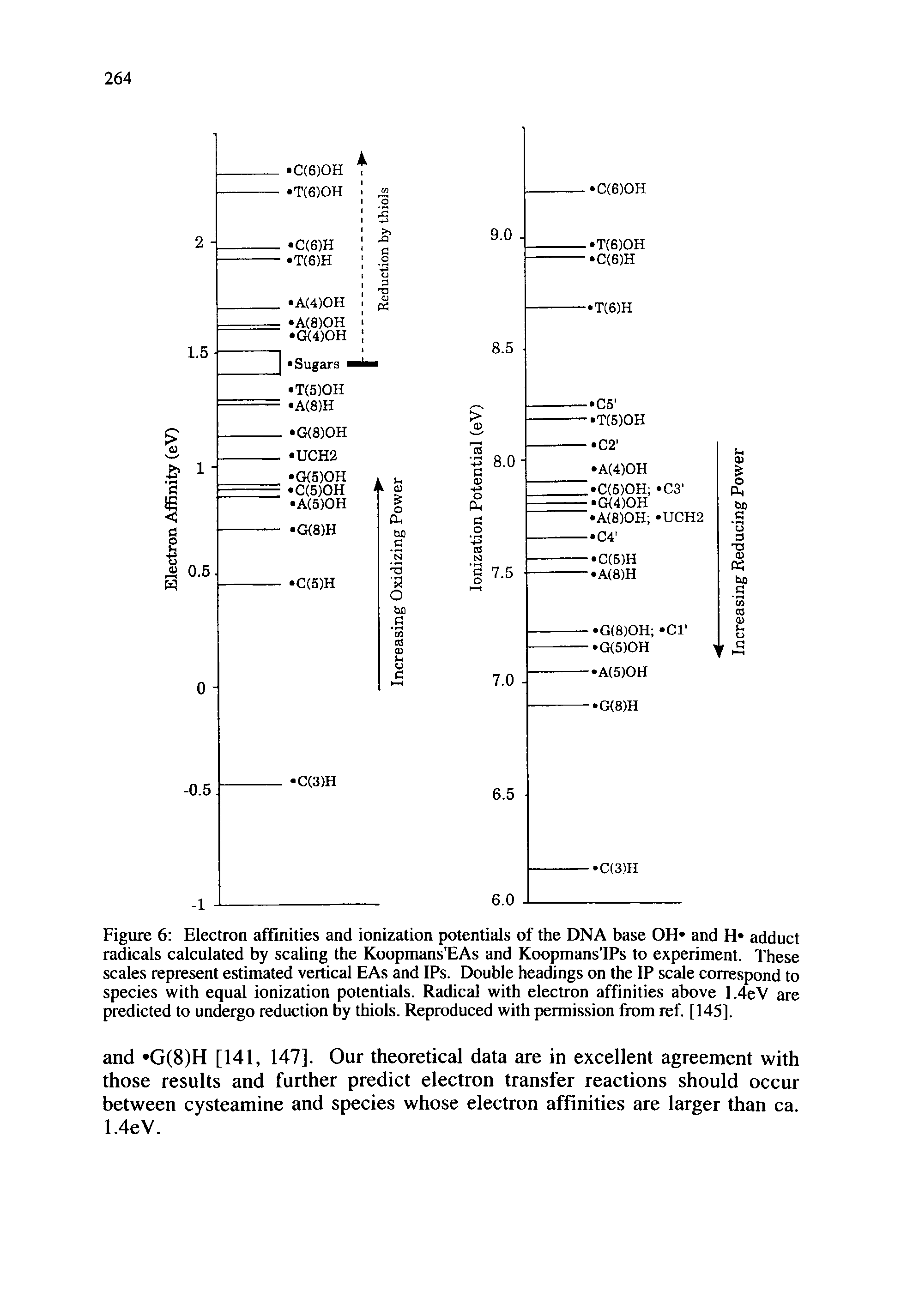 Figure 6 Electron affinities and ionization potentials of the DNA base OH and H adduct radicals calculated by scaling the Koopmans EAs and Koopmans IPs to experiment. These scales represent estimated vertical EAs and IPs. Double headings on the IP scale correspond to species with equal ionization potentials. Radical with electron affinities above 1.4eV are predicted to undergo reduction by thiols. Reproduced with piermission from ref. [145].
