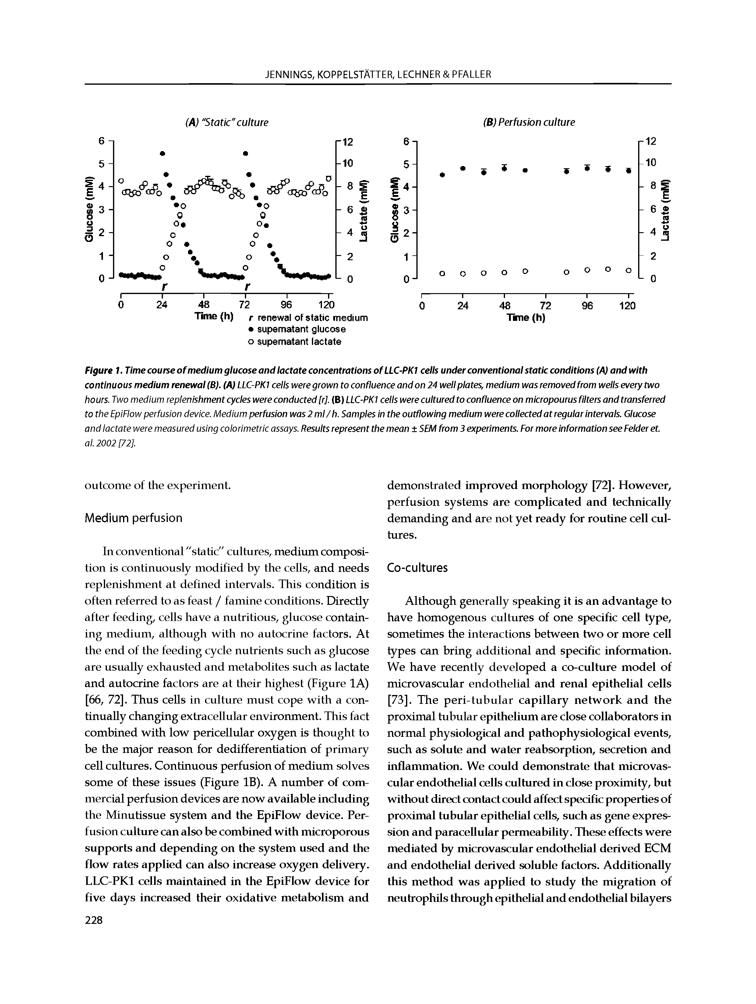 Figure 1. Time course of medium glucose and lactate concentrations ofLLC-PKI ceiis under conventionai static conditions (A) and with continuous medium renewai (B). (A) LLC-PKi cells were grown to confluence and on 24 well plates, medium was removed from wells every two hours. Two medium replenishment cycles were conducted [r], (B) LLC-PK1 cells were cultured to confluence on micropourus filters and transferred to the EpiFlow perfusion device. Medium perfusion was 2 mi/h. Sampies in the outflowing medium werecoiiectedatreguiarintervais. Giucose and lactate were measured using colorimetric assays. Results represent the mean SEM from 3 experiments. For more information see Felder et. al. 2002 [72].