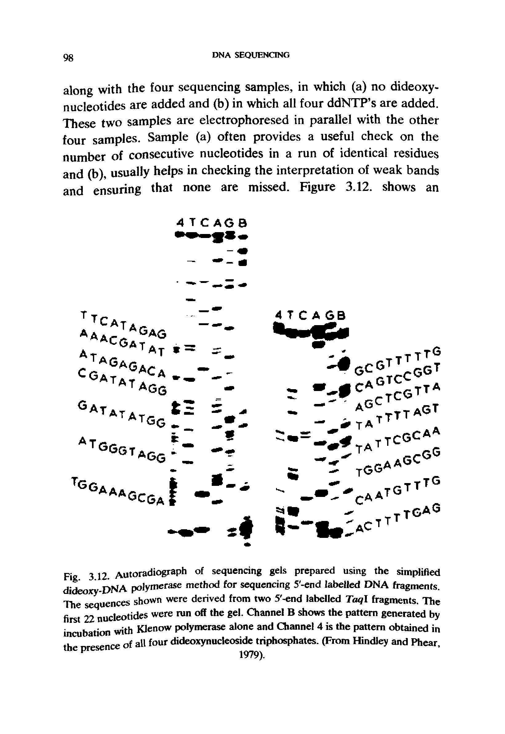 Fig. 3.12. Autoradiograph of sequencing gels prepared using, he sim dideoxy-DNA polymerase method for sequencing 5 -end labelled DNA r T The sequences shown were derived from two 5 -end labelled T r agments first 22 nucleotides were run off the gel. Channel B shows the olT 1 The incubation with Klenow polymerase alone and Channel 4 is the natte 8 "erated bV the presence of all four dideoxynucleoside triphosphates. (From Hindfoy an T...
