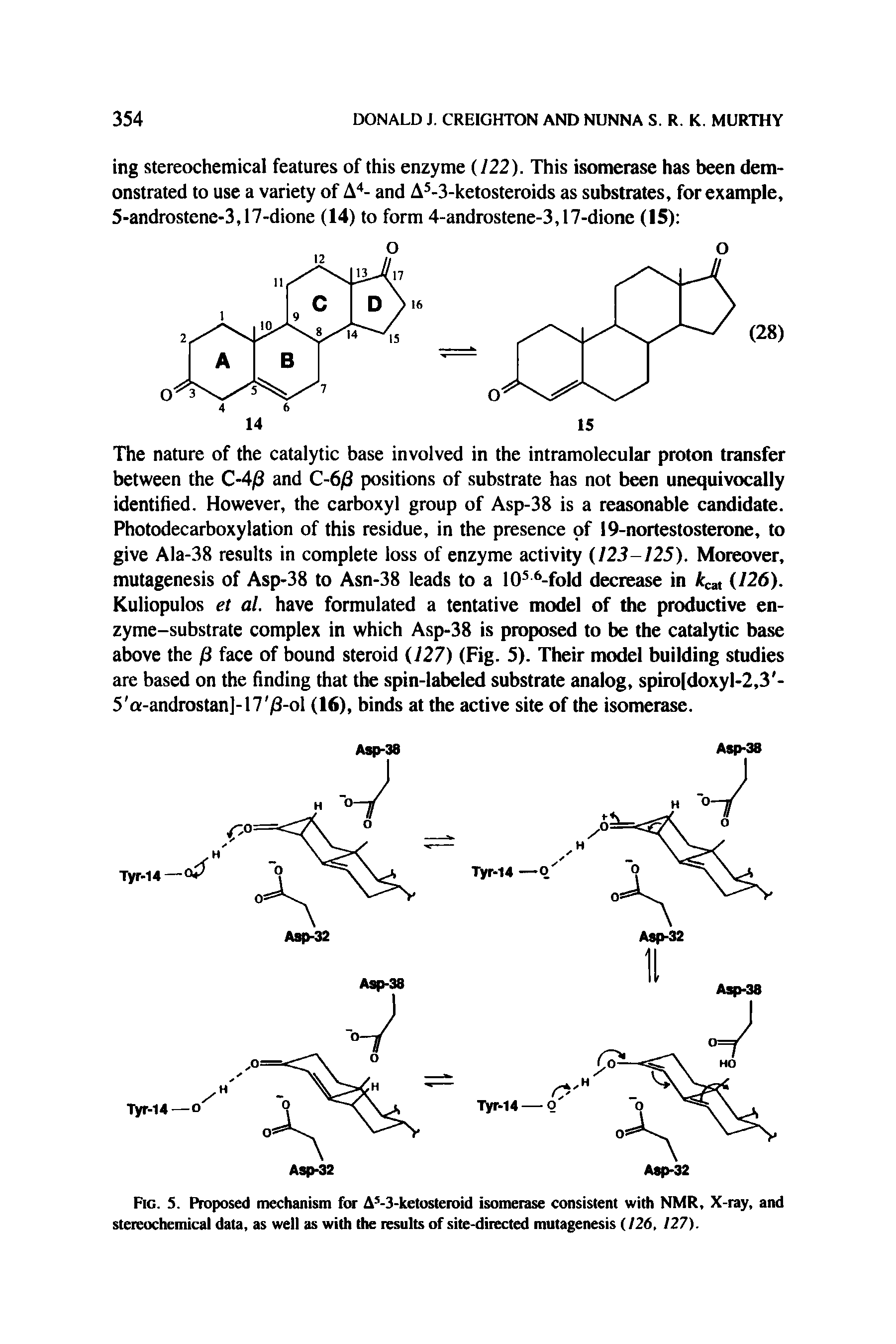 Fig. 5. Proposed mechanism for A -3-ketosteroid isomerase consistent with NMR, X-ray, and stereochemical data, as well as with the results of site-directed mutagenesis (/26, 127).