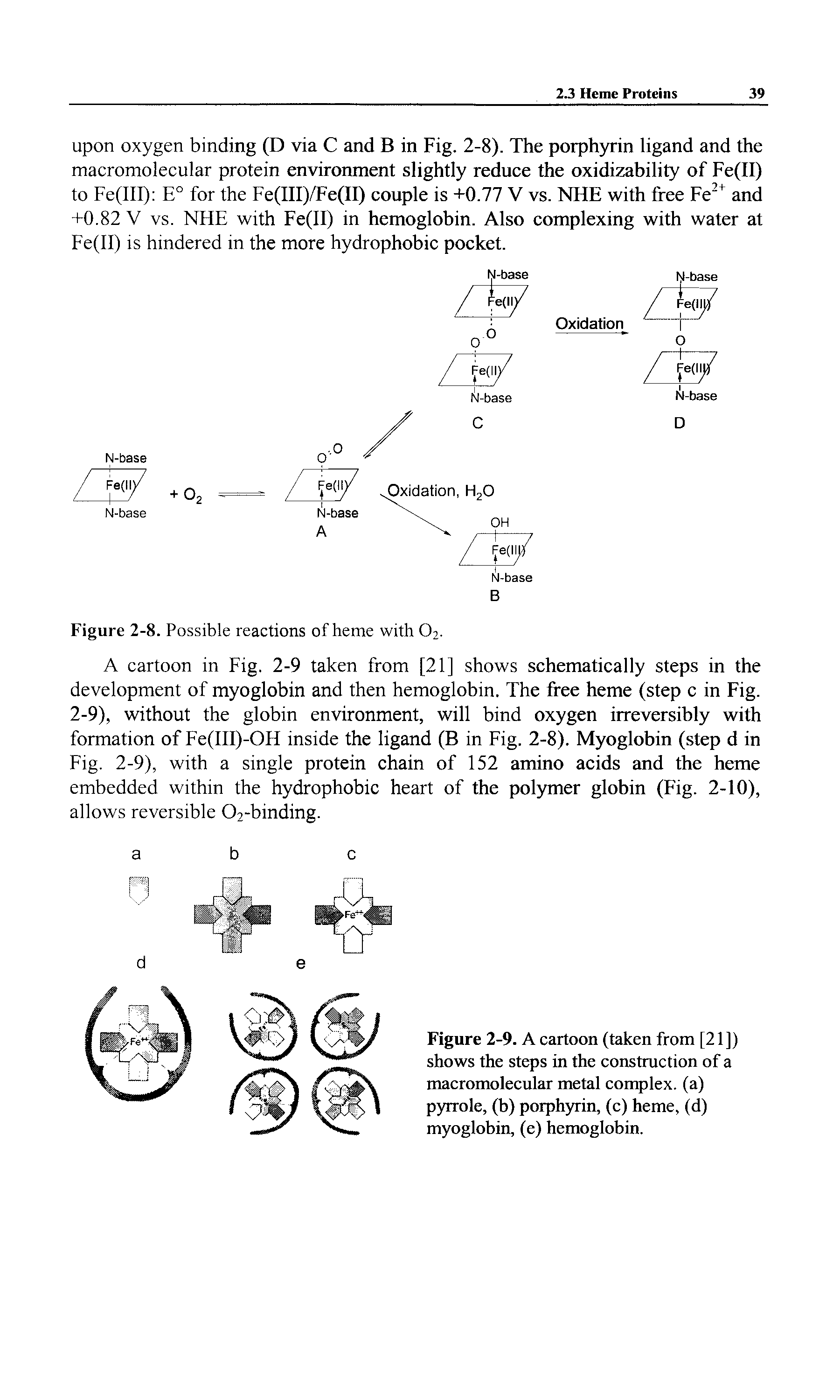 Figure 2-9. A cartoon (taken from [21]) shows the steps in the construction of a macromolecular metal complex, (a) pyrrole, (b) porphyrin, (e) heme, (d) myoglobin, (e) hemoglobin.