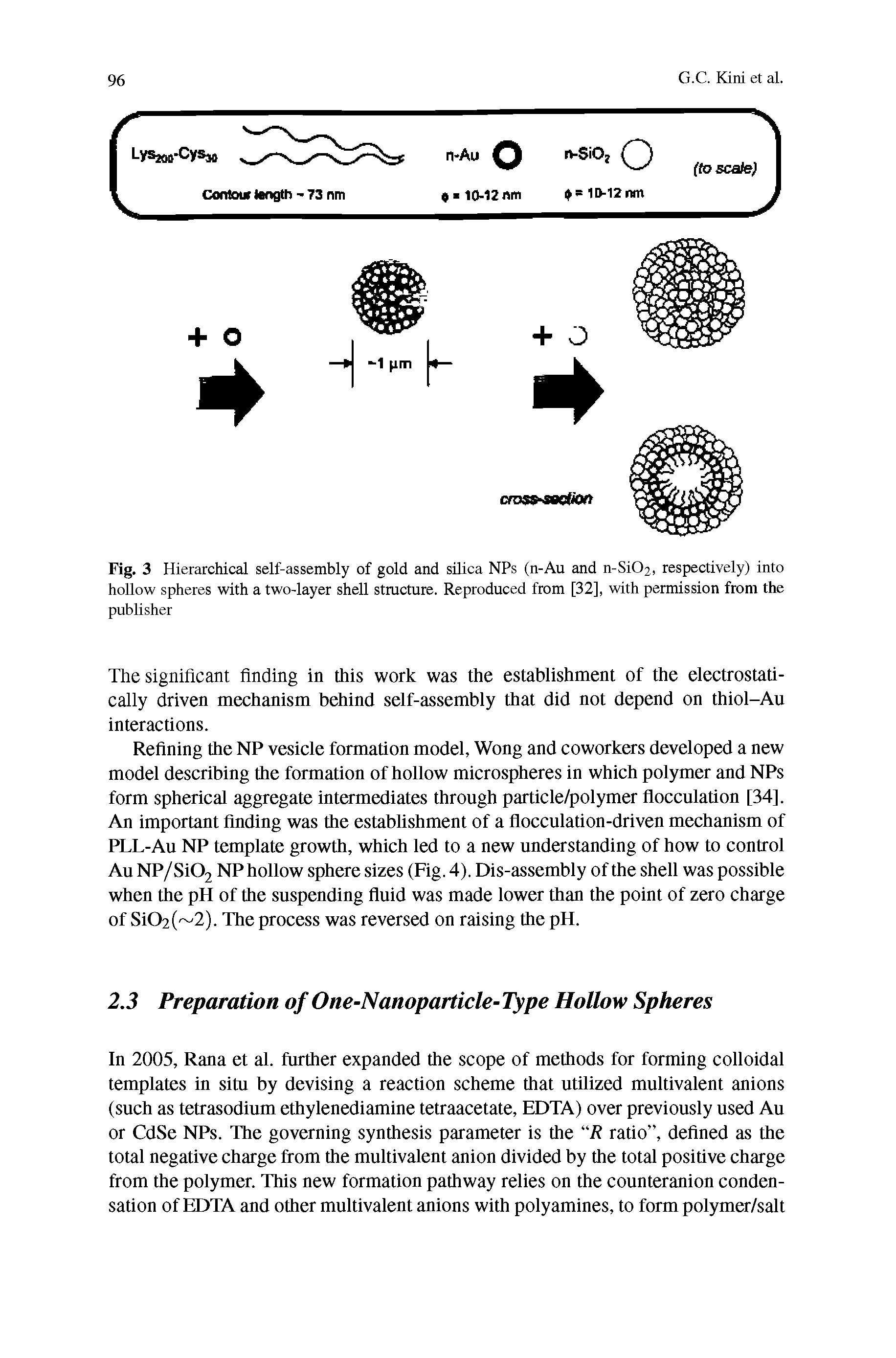 Fig. 3 Hierarchical self-assembly of gold and silica NPs (n-Au and n-Si02, respectively) into hollow spheres with a two-layer shell structure. Reproduced from [32], with permission from the...