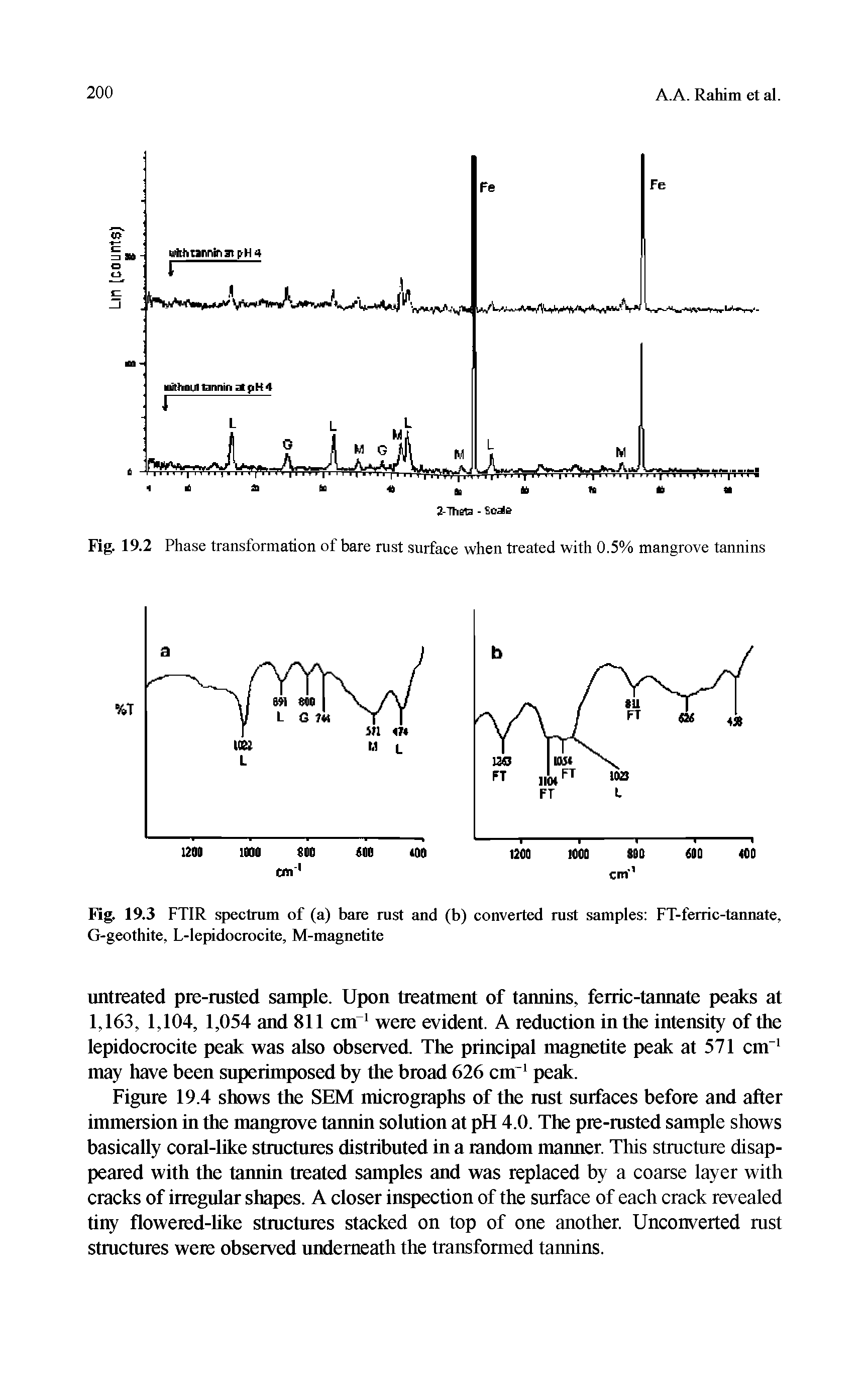 Fig. 19.3 FTIR spectram of (a) bare rust and (b) converted rust samples FT-ferric-tannate, G-geothite, L-lepidocrocite, M-magnetite...