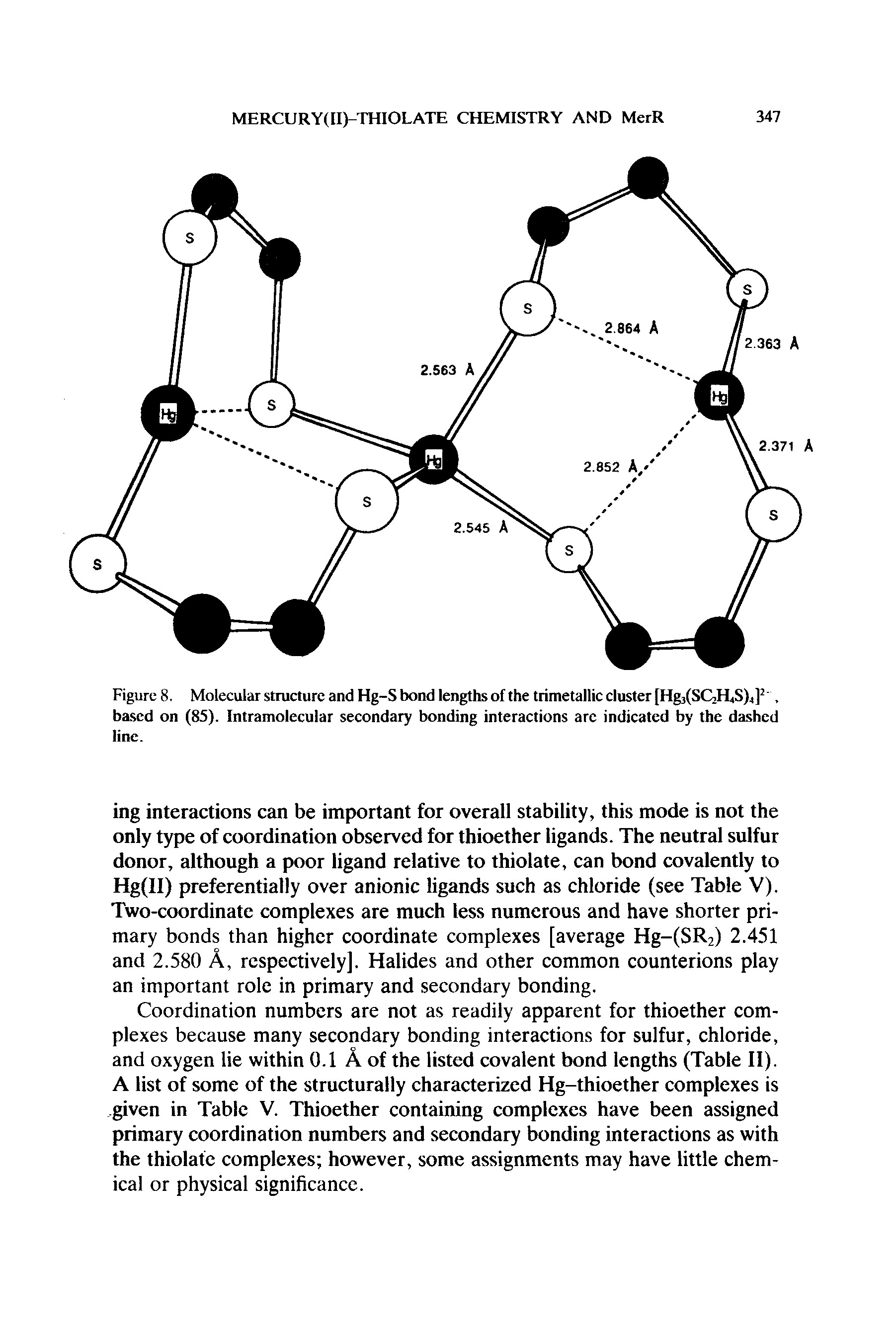 Figure 8. Molecular structure and Hg-S bond lengths of the trimetallic cluster [Hg3(SC2H4S)j], based on (85). Intramolecular secondary bonding interactions arc indicated by the dashed line.