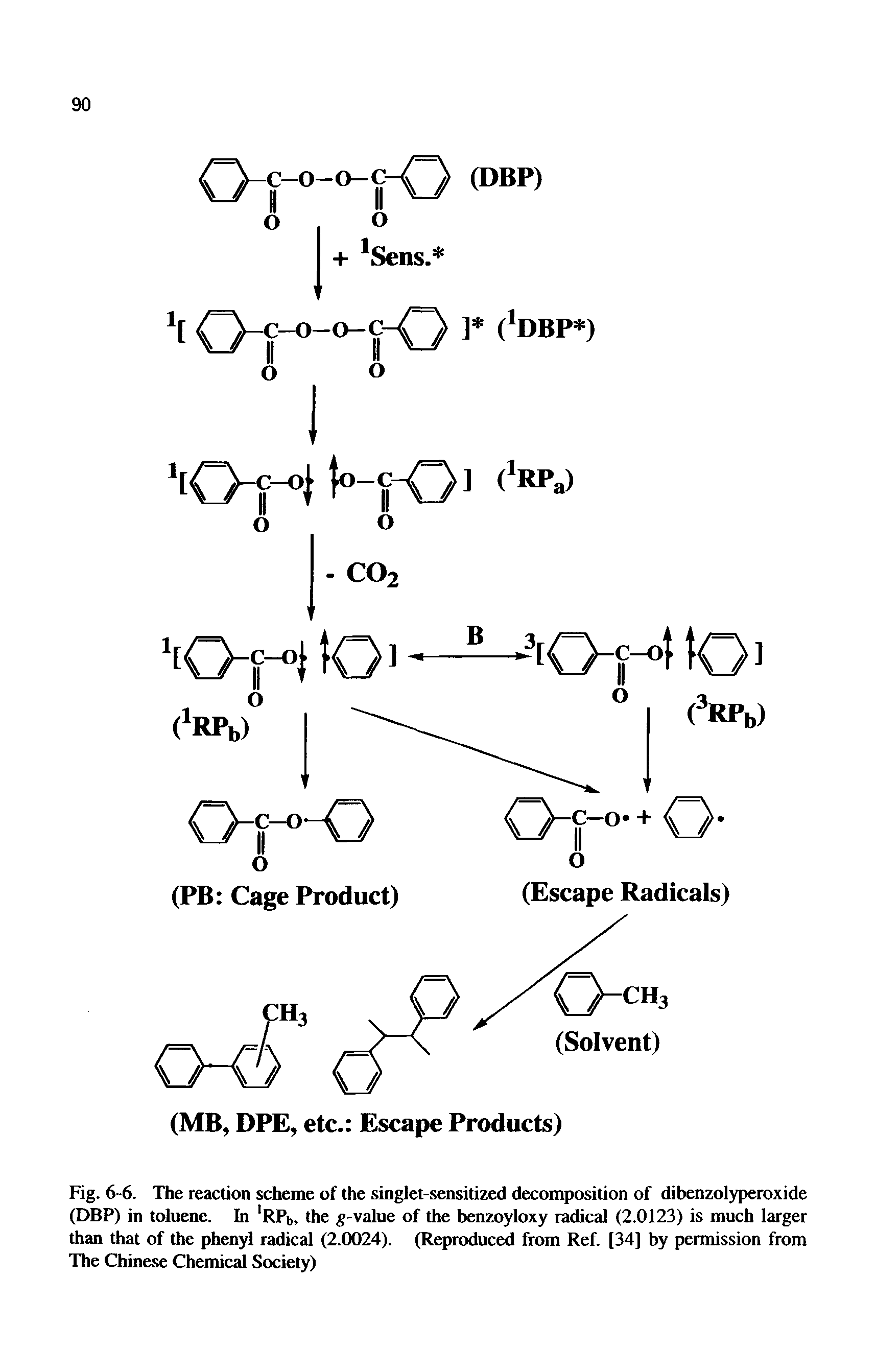 Fig. 6-6. The reaction scheme of the singlet-sensitized decomposition of dibenzolyperoxide (DBP) in toluene. In RPb, the g-value of the benzoyloxy radical (2.0123) is much larger than that of the phenyl radical (2.0024). (Reproduced from Ref. [34] by permission from The Chinese Chemical Society)...