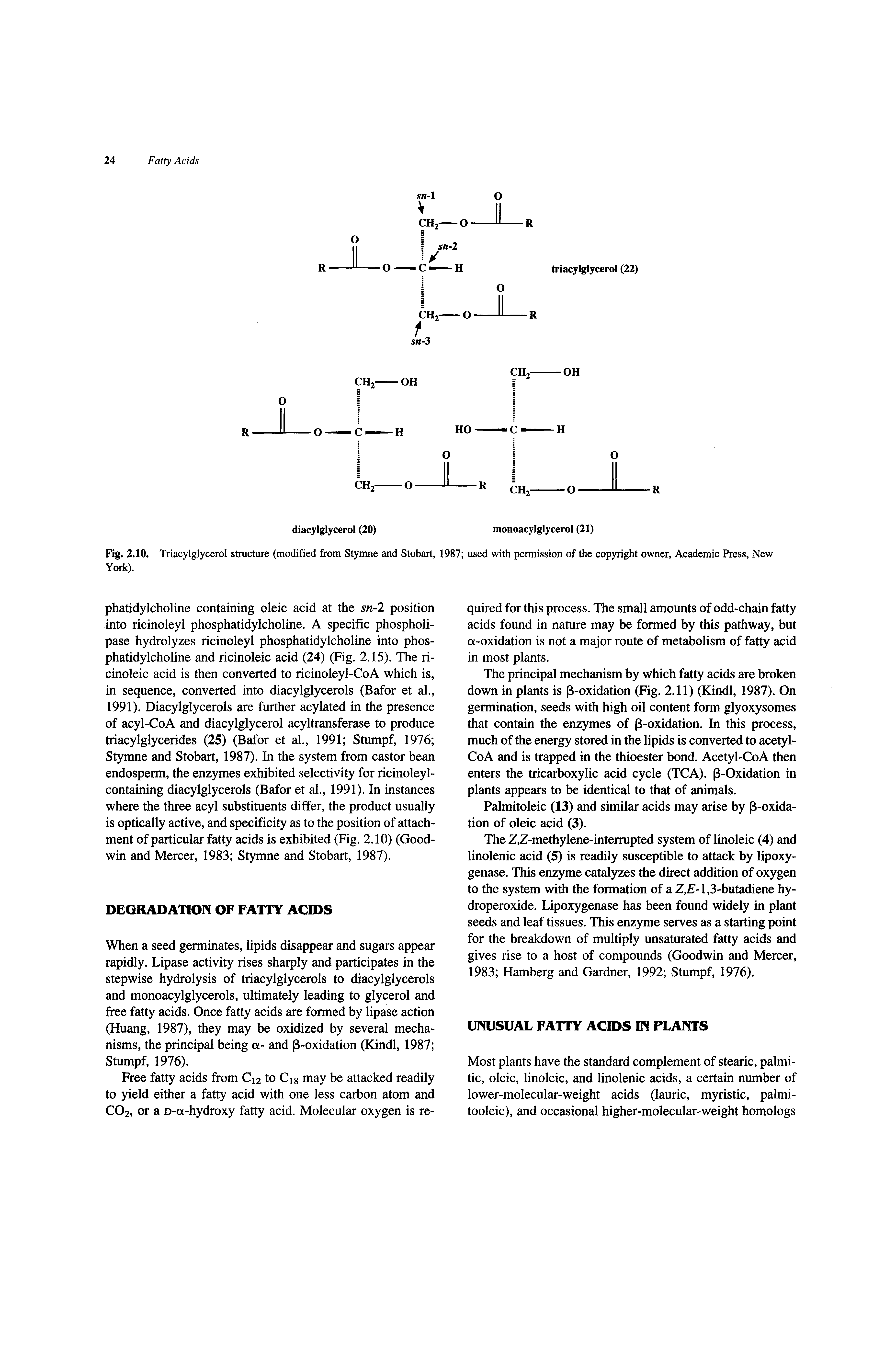 Fig. 2.10. Triacylglycerol structure (modified from Stymne and Stobart, 1987 used with permission of the copyright owner, Academic F York).