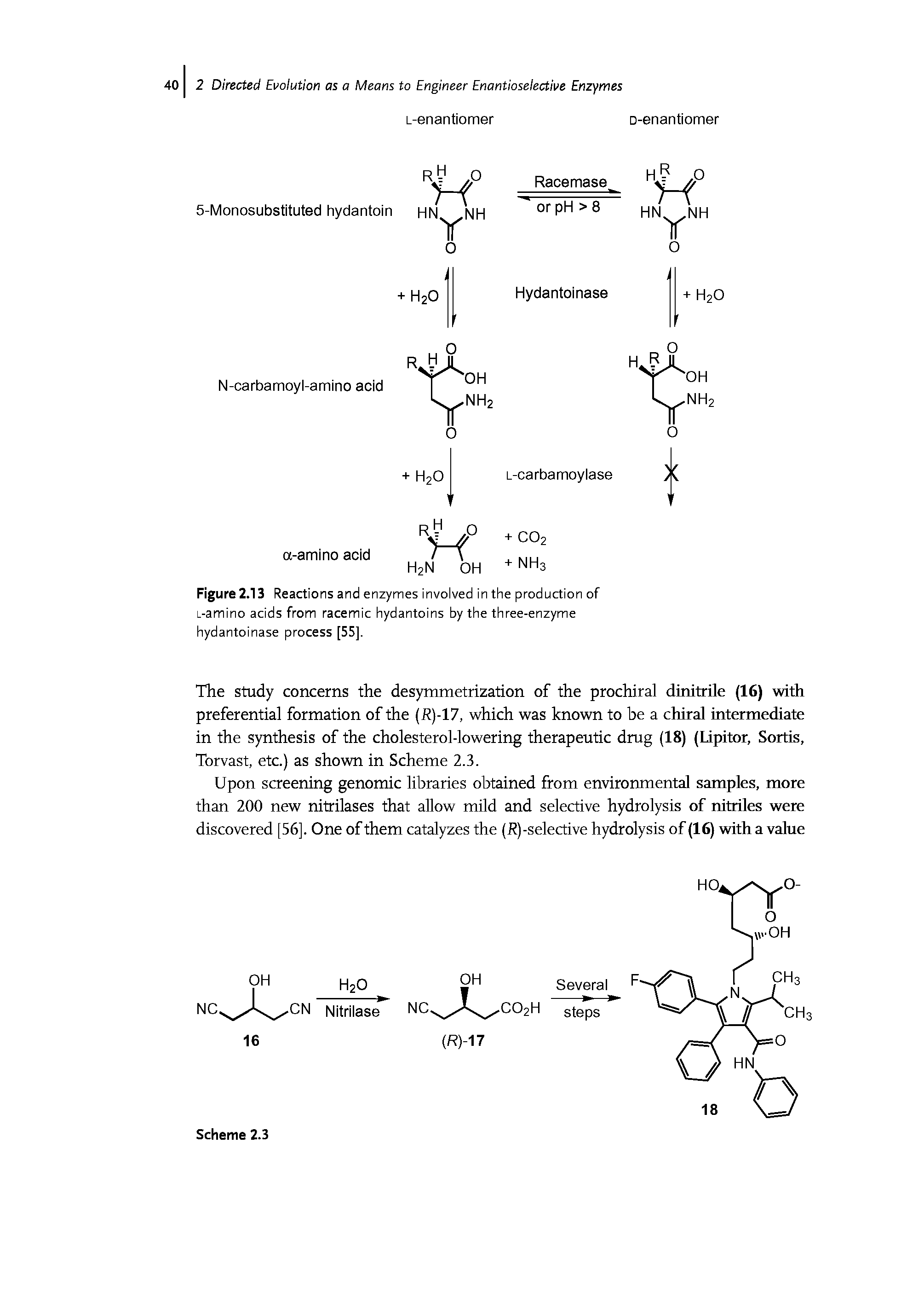 Figure 2.13 Reactions and enzymes involved in the production of L-amino acids from racemic hydantoins by the three-enzyme hydantoinase process [55],...