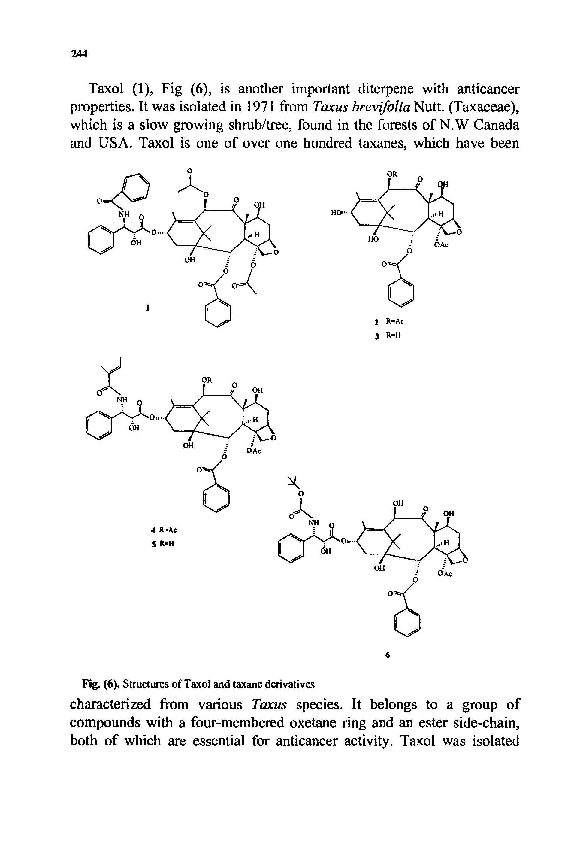 Fig. (6). Structures of Taxol and taxane derivatives characterized from various Taxus species. It belongs to a group of compounds with a four-membered oxetane ring and an ester side-chain, both of which are essential for anticancer activity. Taxol was isolated...